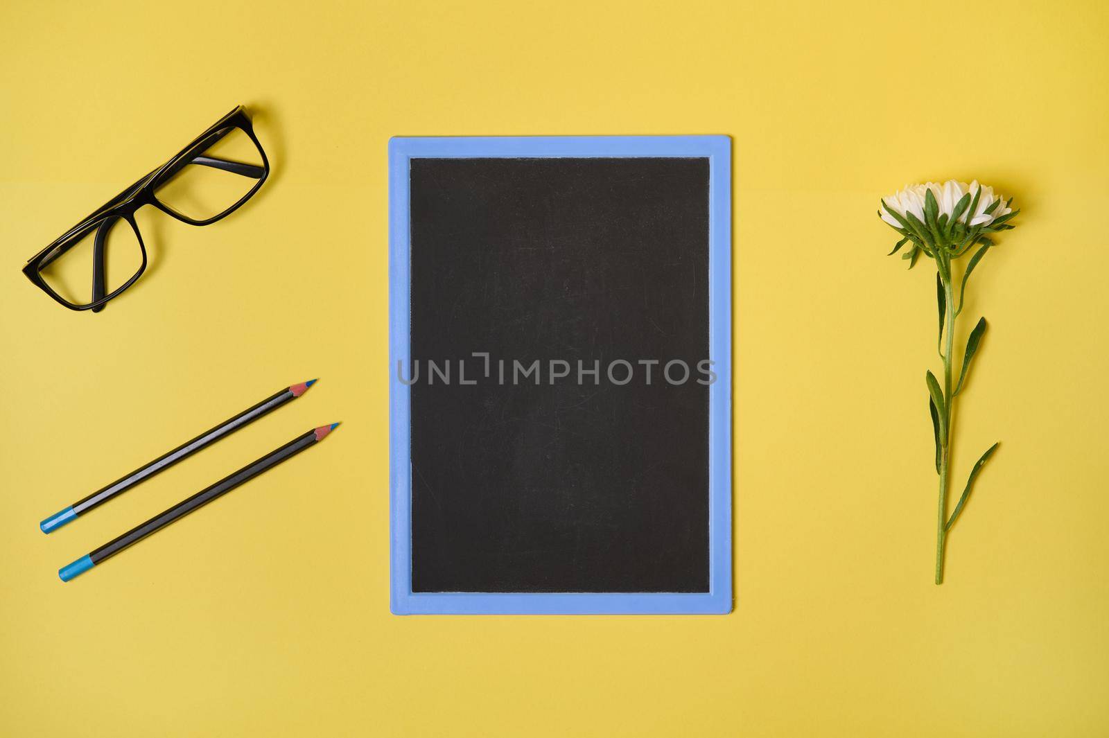 Top view. Flat lay. Autumn aster flower clean chalkboard with copy space , eyeglasses and two pencils, isolated on yellow background with space for text by artgf