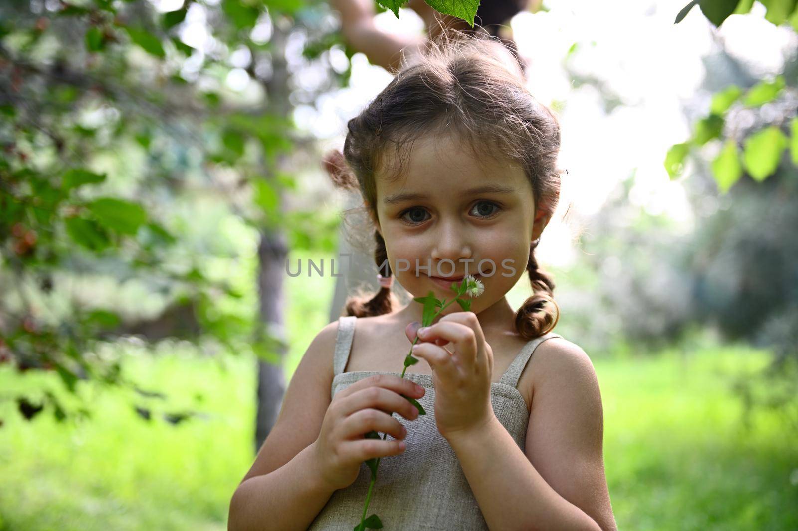 A cute girl shyly poses in front of the camera with a wildflower in her hands near her face against the background of her mother picking cherries in the garden on a summer day in the rays of sunset