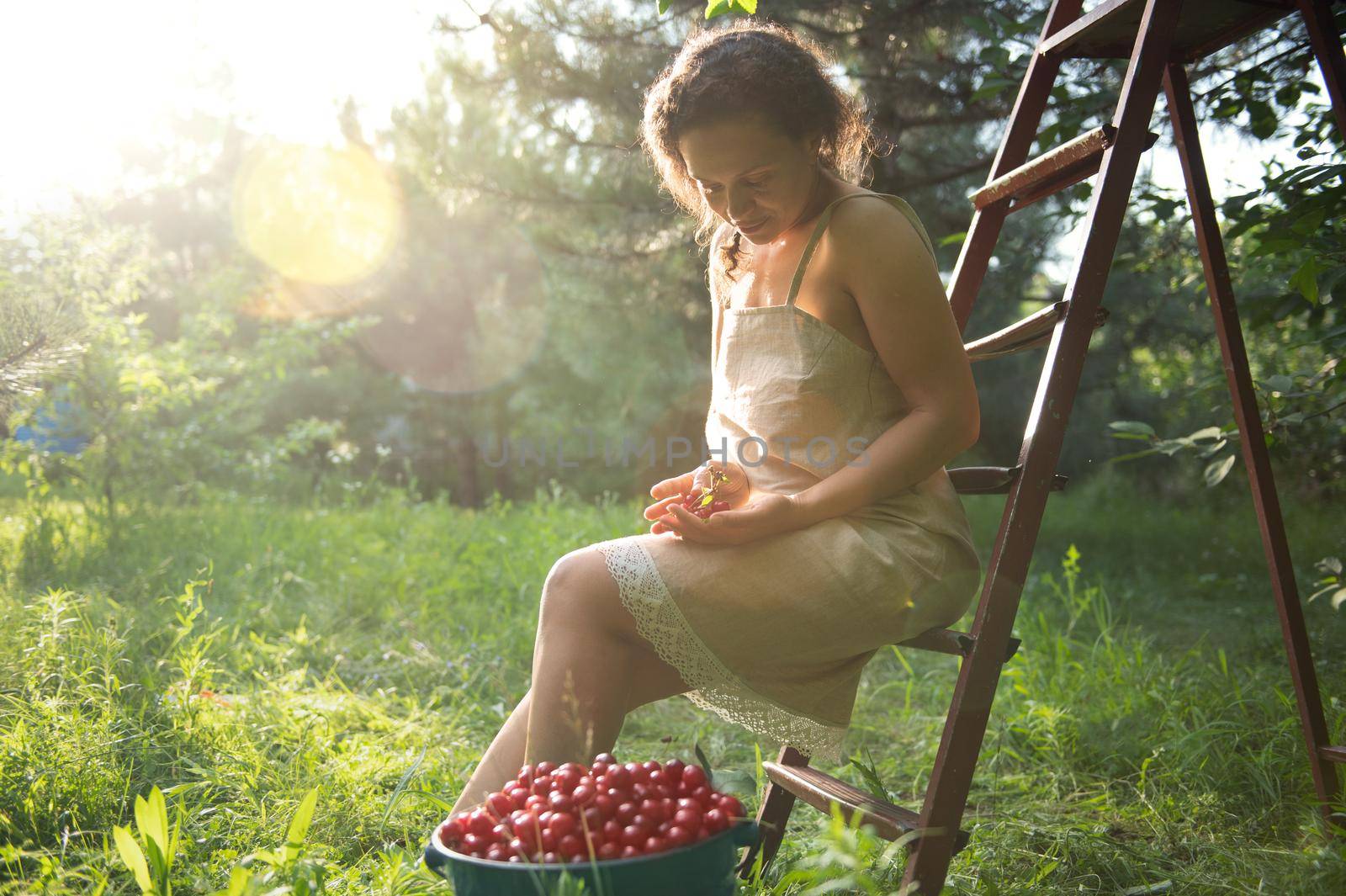 Beautiful sun rays fall into the garden on a summer day while African ethnicity woman in linen dress sitting on a ladder next to bucket with cherries in orchard. by artgf