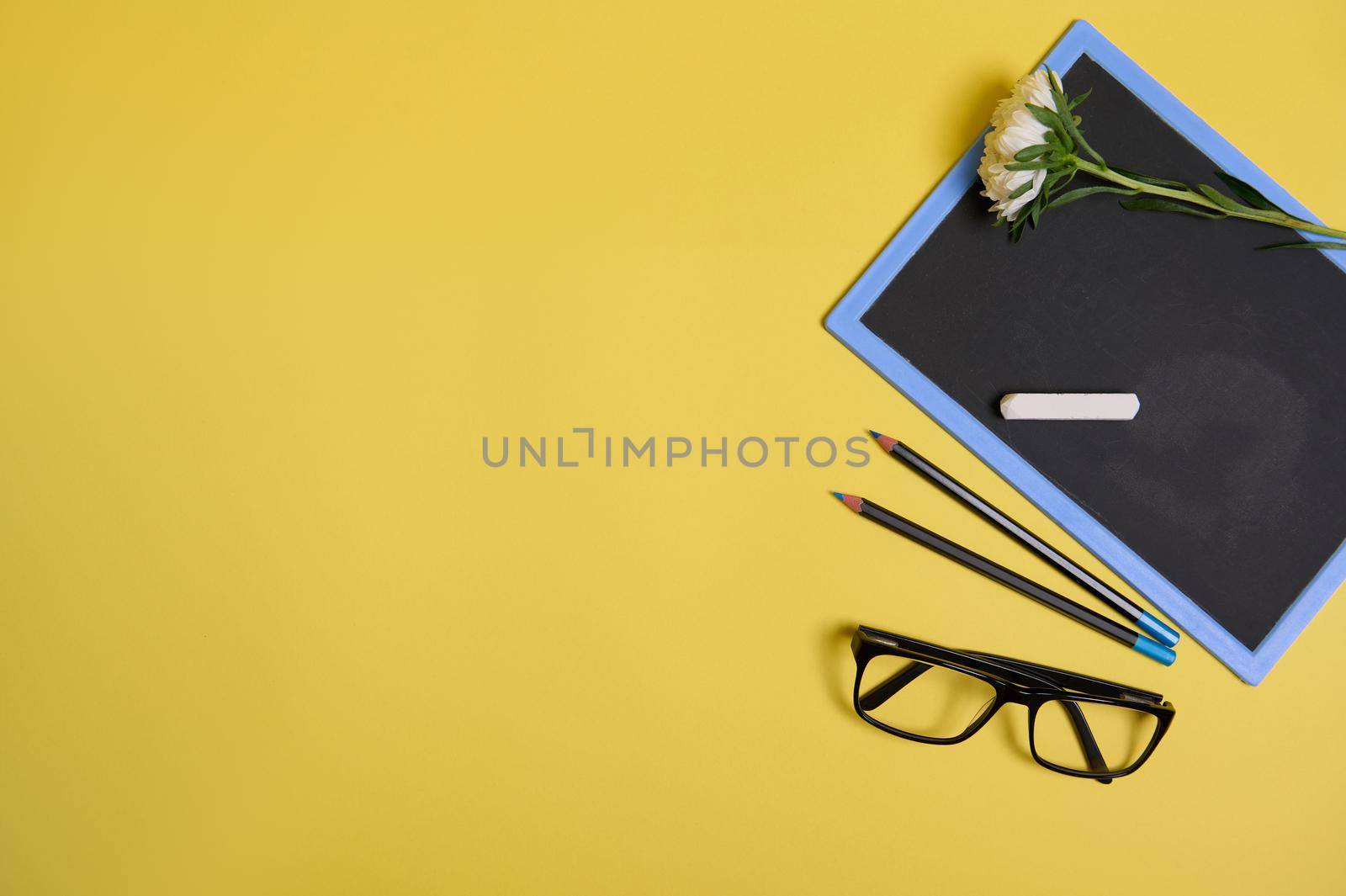 Flat lay. Autumn aster flower on a clean chalkboard with copy space , eyeglasses and two pencils, isolated on yellow background with space for text