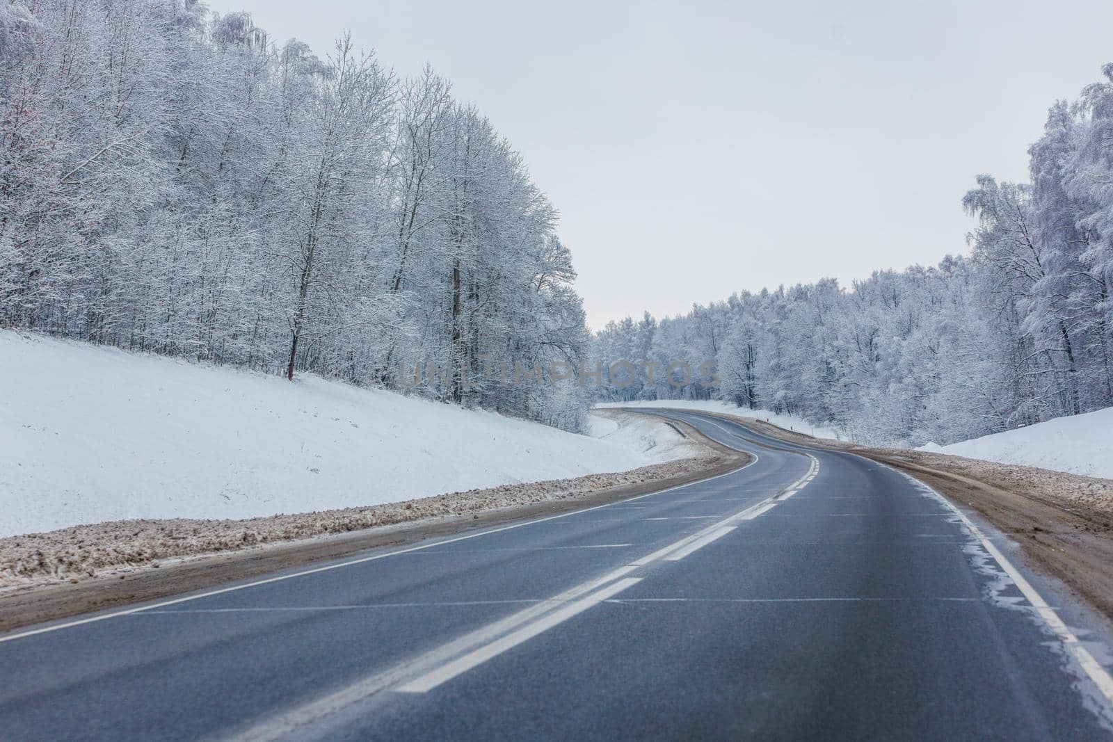 empty winter road among frosted forest at daylight with no cars on it