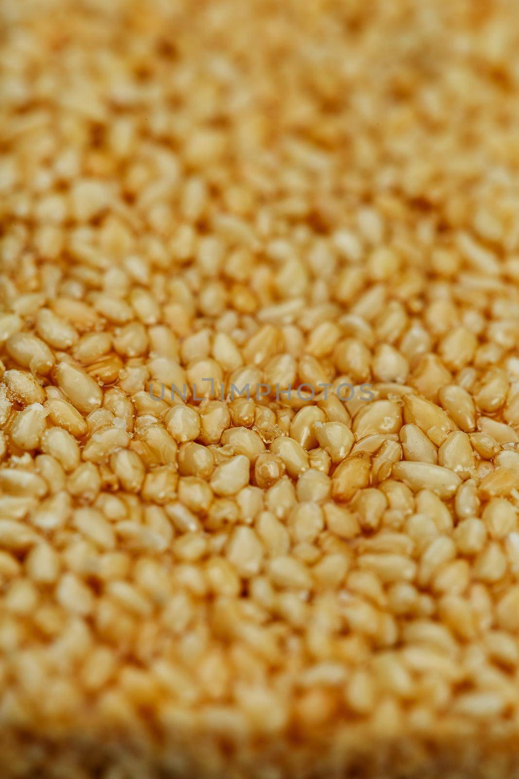 Kozinaki from golden, roasted sesame seeds as a background, texture, filled with shiny molasses. Macro shooting, close-up. Place for text