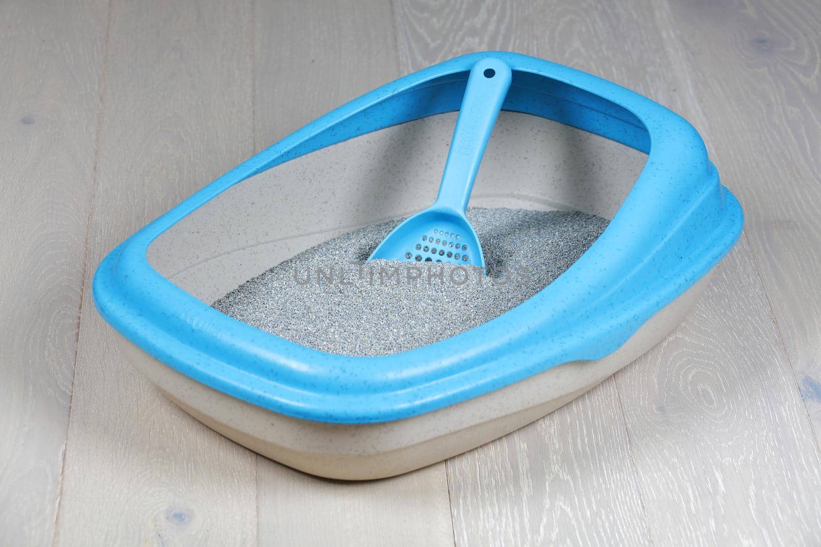 A cat litter tray and scoop on a wood floor