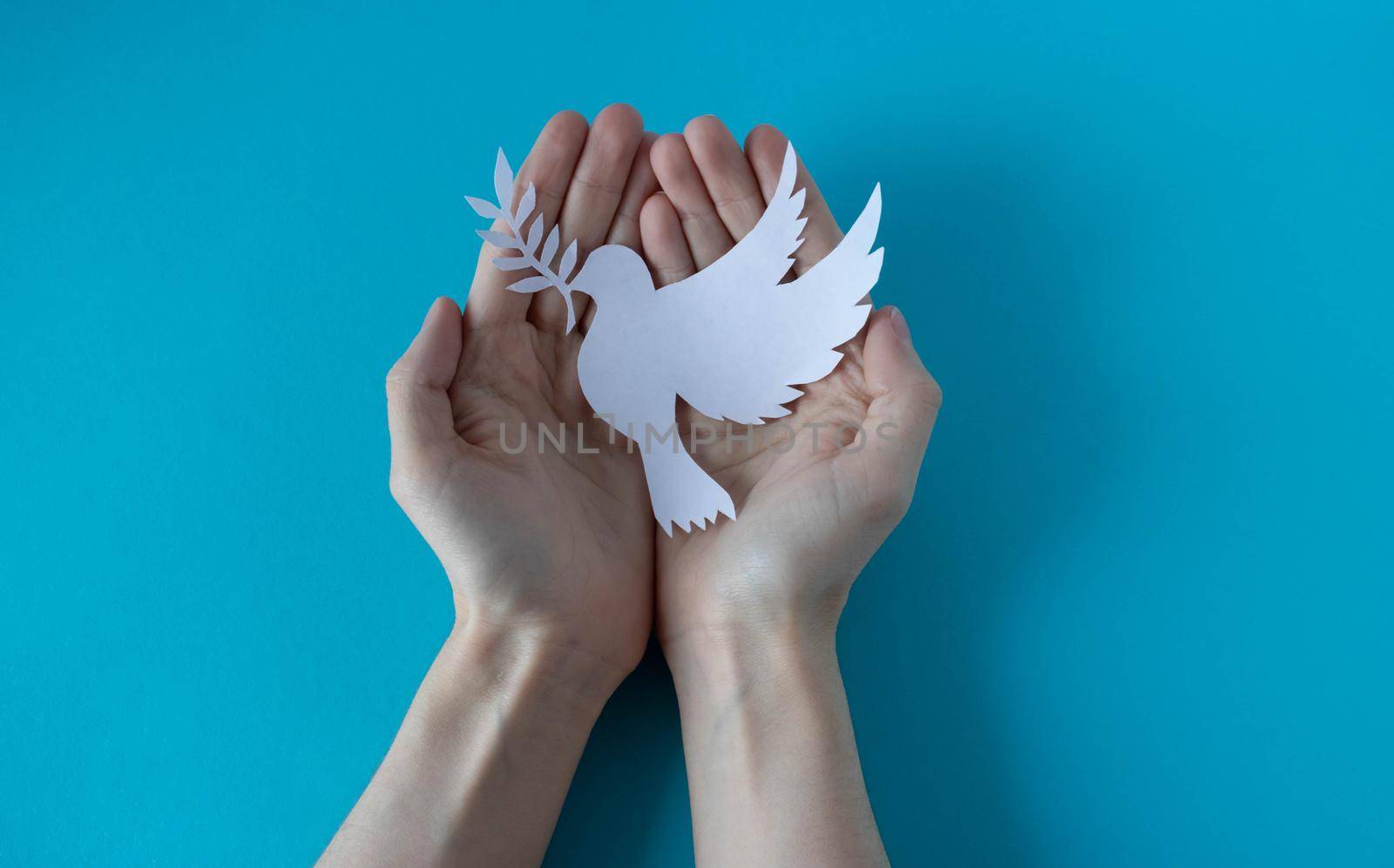 Hands holding a paper white pigeon on a blue background. World Peace Day. World Science Day for Peace and Development.