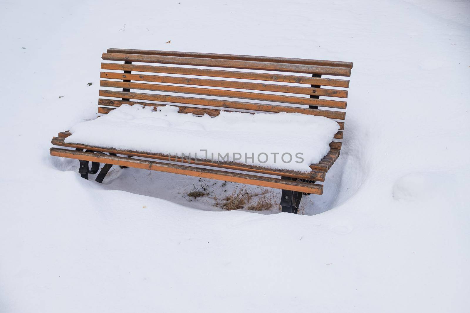 Park bench and trees covered by heavy snow