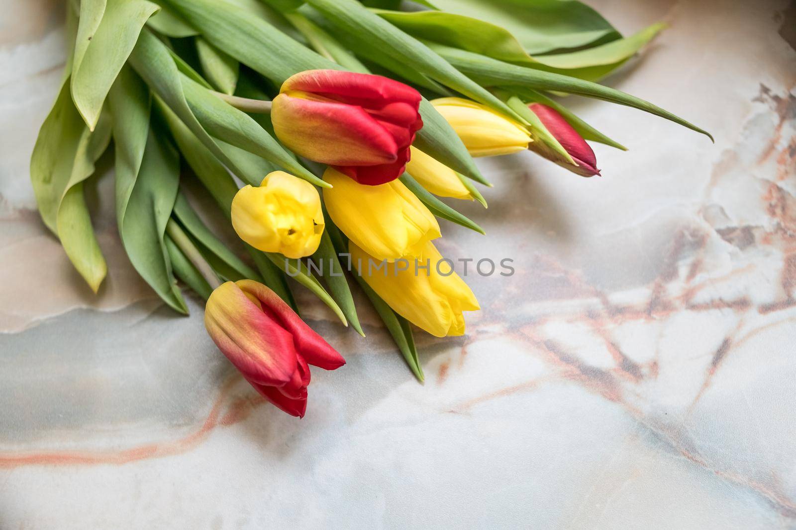 Beautiful tulips for Mother's Day on marble background, top view