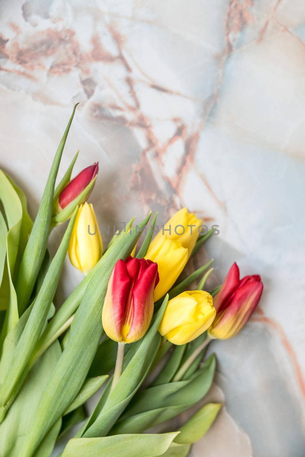 Beautiful tulips for Mother's Day on marble background, top view