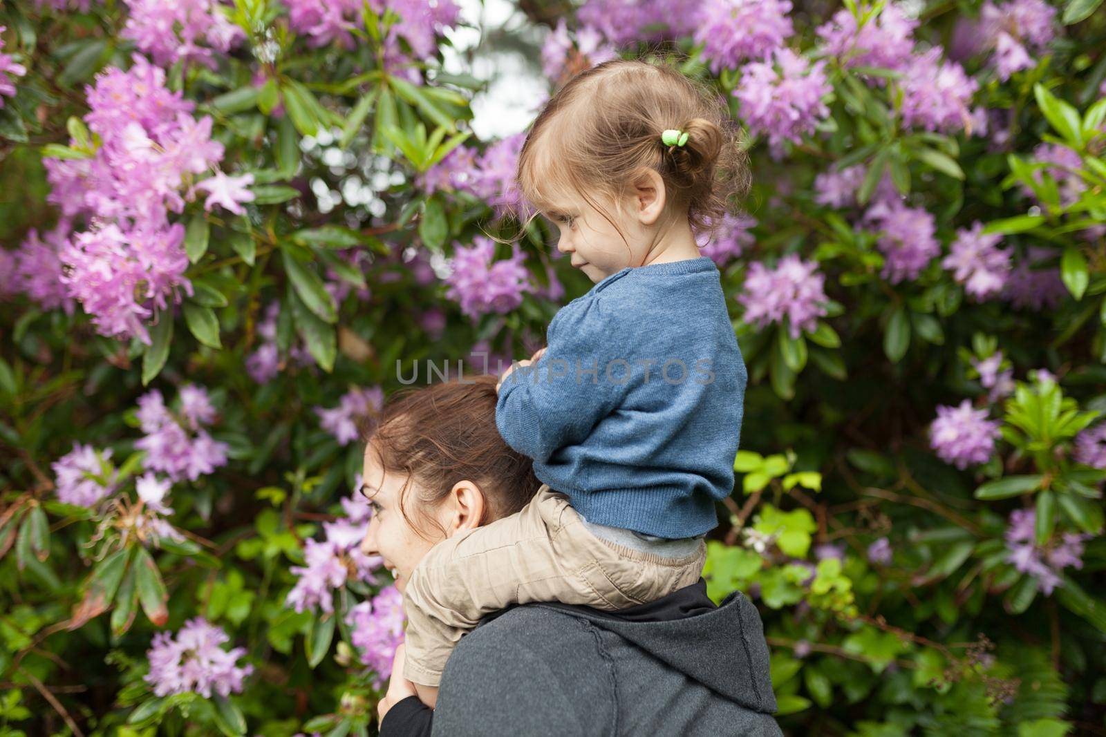 Little caucasian girl sitting shoulders his mother. Family with one parent walking nature flower bush. Cute daughter ride mom shoulders Family traveling authentic photo