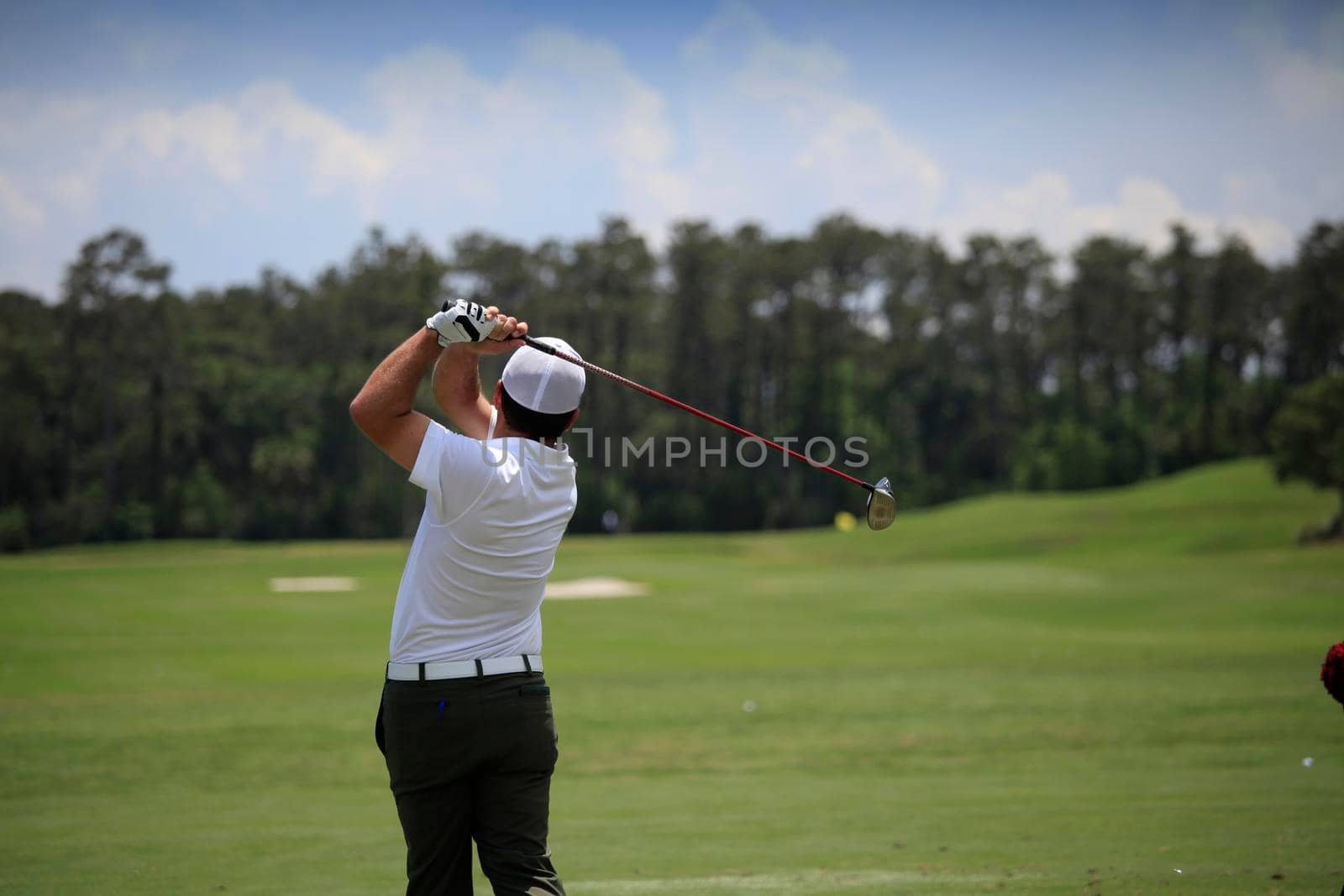 TPC Sawgrass golf , The players 2012, Ponte Vedra, FL by photogolfer