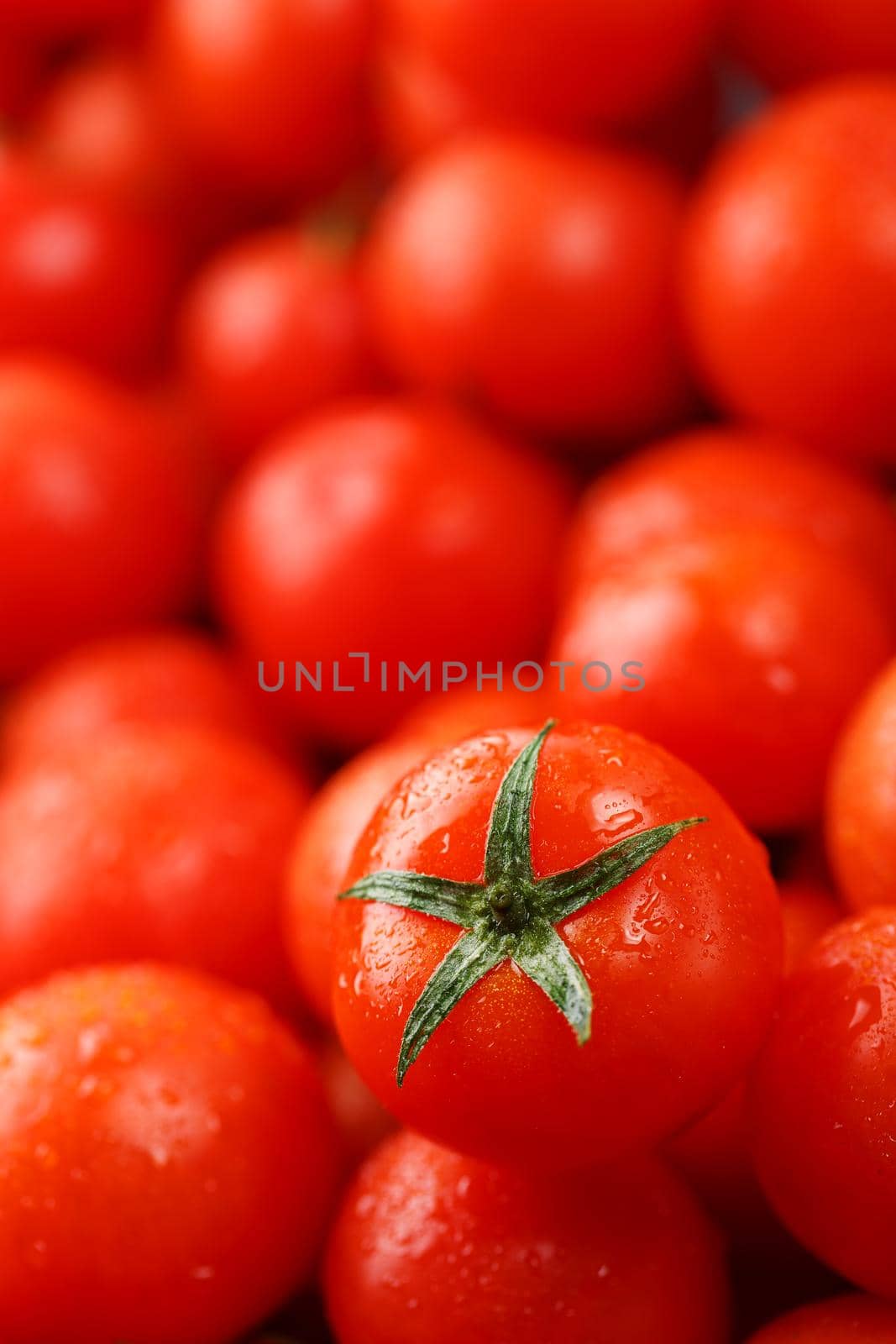 Fresh cherry tomatoes with closeup. Background red tomatoes. A group of juicy ripe fruits. red tomatoes background. Wallpaper tomato macro