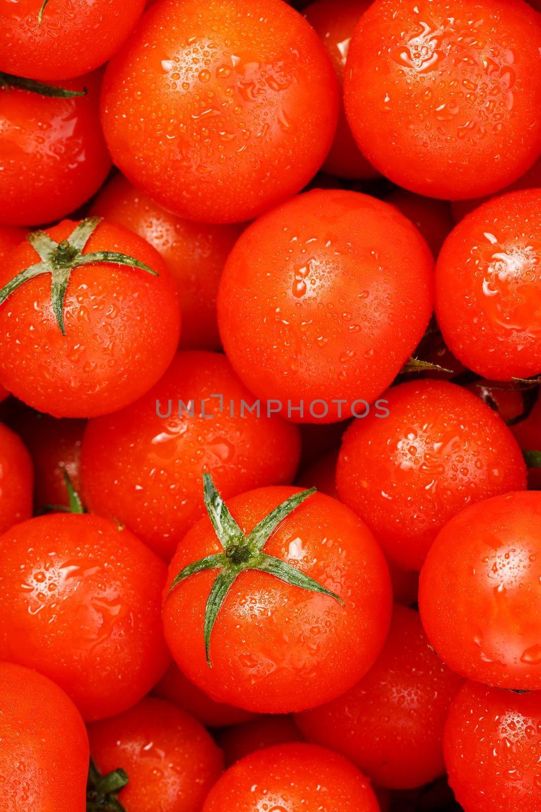 Fresh cherry tomatoes with green leaves. Background red tomatoes. A group of juicy ripe fruits.