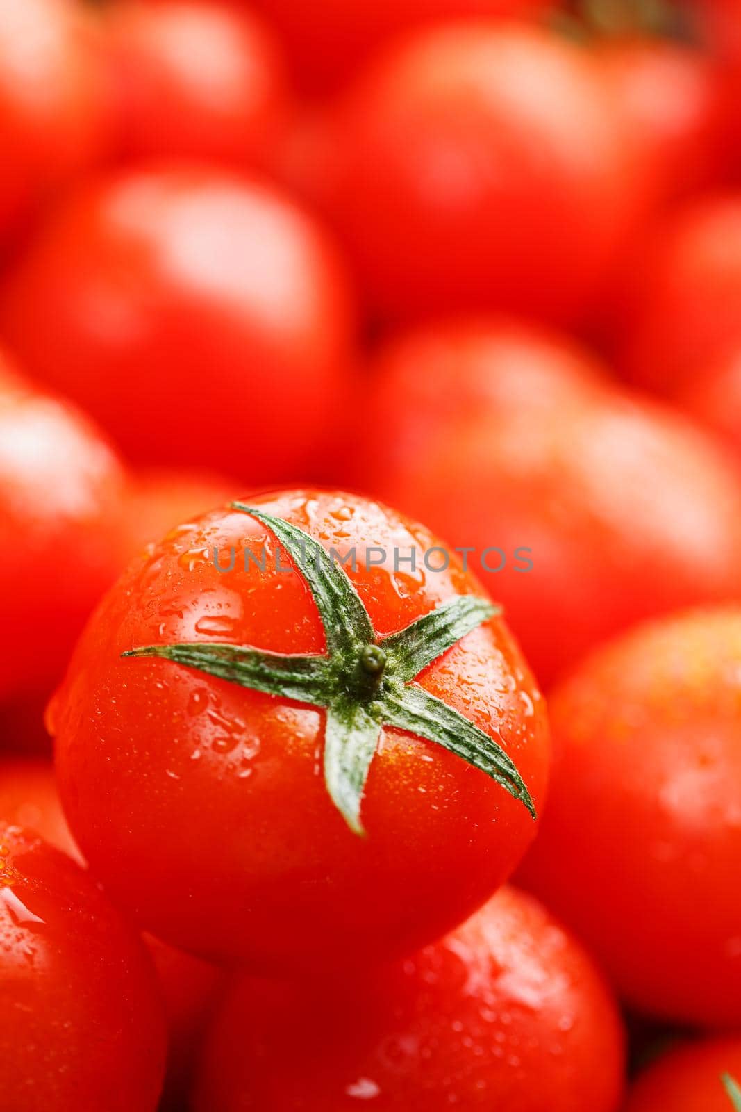 Fresh cherry tomatoes with closeup. Background red tomatoes. A group of juicy ripe fruits. red tomatoes background. Wallpaper tomato macro