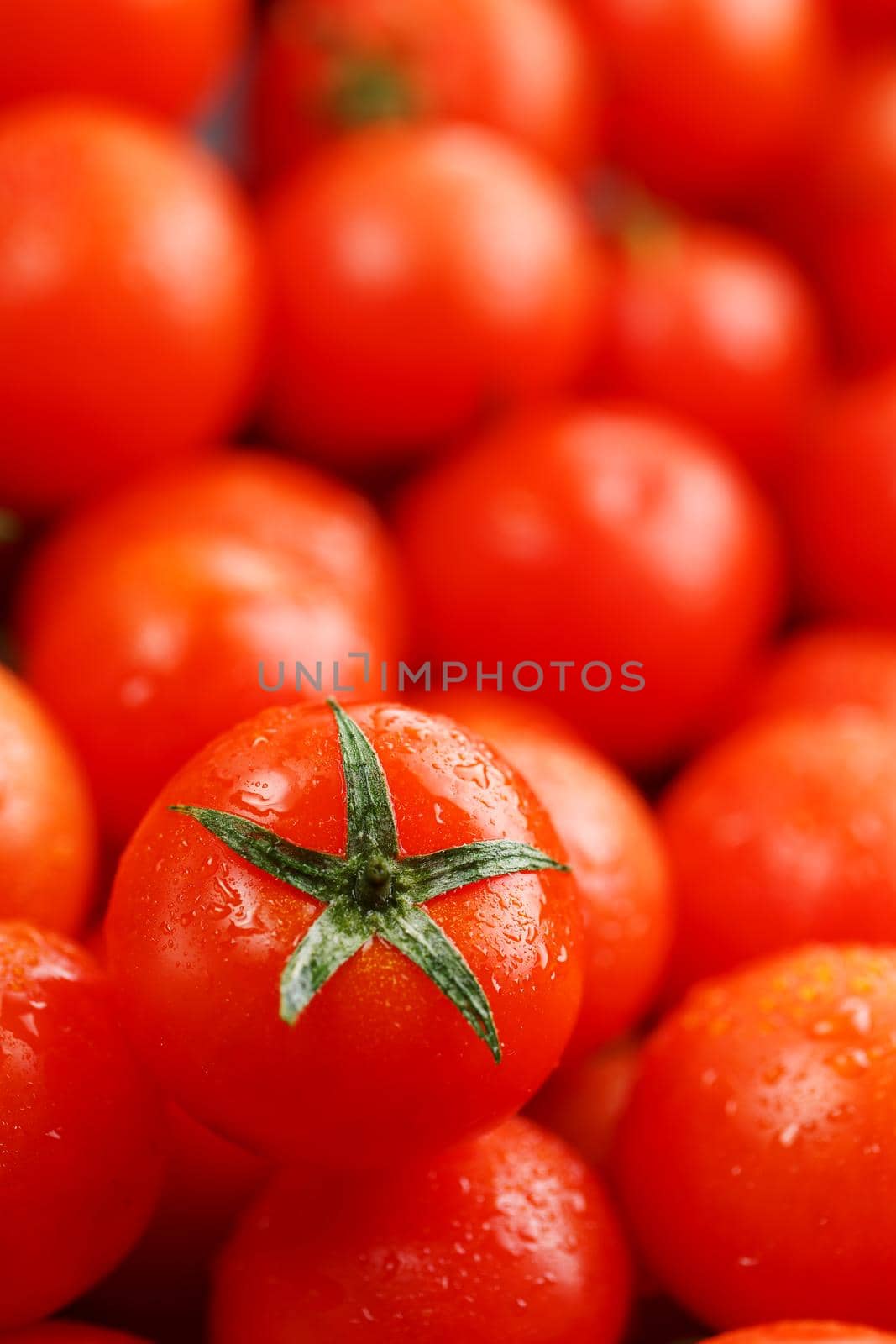 Fresh cherry tomatoes with closeup. Background red tomatoes. A group of juicy ripe fruits. red tomatoes background. Wallpaper tomato macro