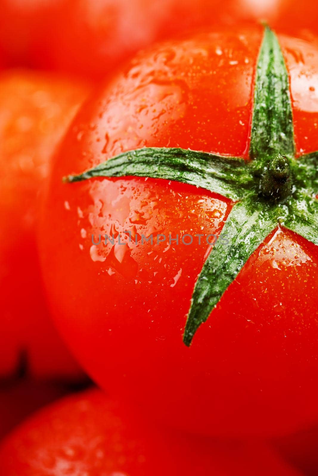 Ripe red tomatoes, with drops of dew. Close-up background with texture of red hearts with green tails. Fresh cherry tomatoes with green leaves. Group of juicy ripe fruit.