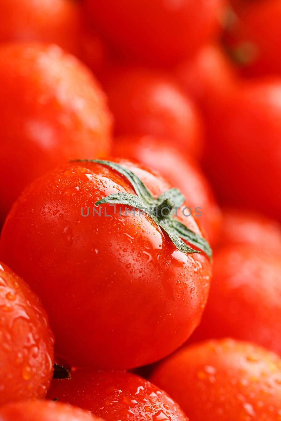 Fresh cherry tomatoes with closeup. Background red tomatoes. A group of juicy ripe fruits. red tomatoes background. Wallpaper tomato macro