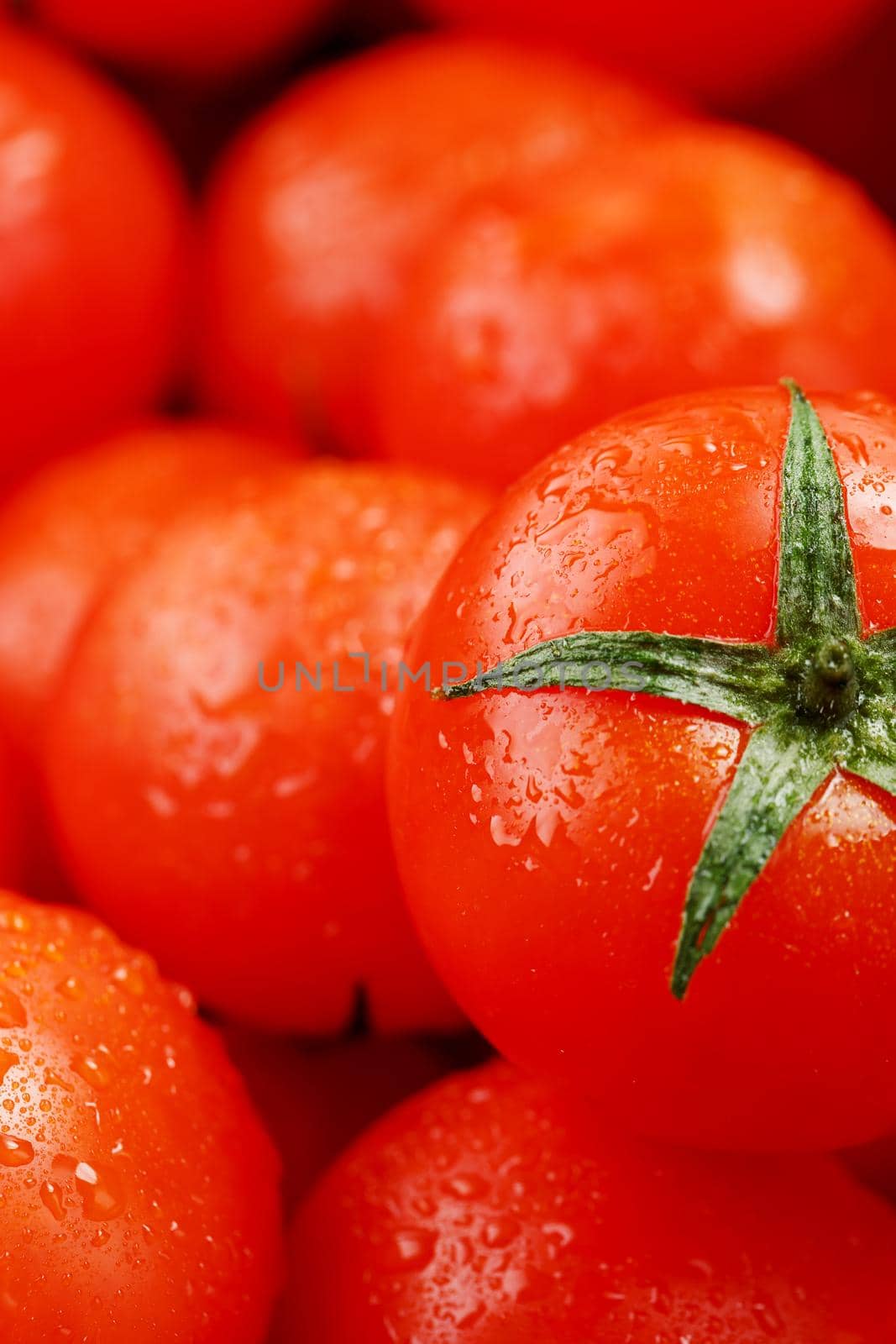 Fresh cherry tomatoes with closeup. Background red tomatoes. A group of juicy ripe fruits. red tomatoes background. Wallpaper tomato macro