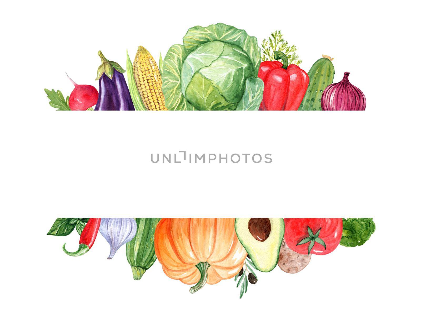 Watercolor vegetable border isolated on white background. Hand drawn food frame for menu design, restaurant decor, recipes