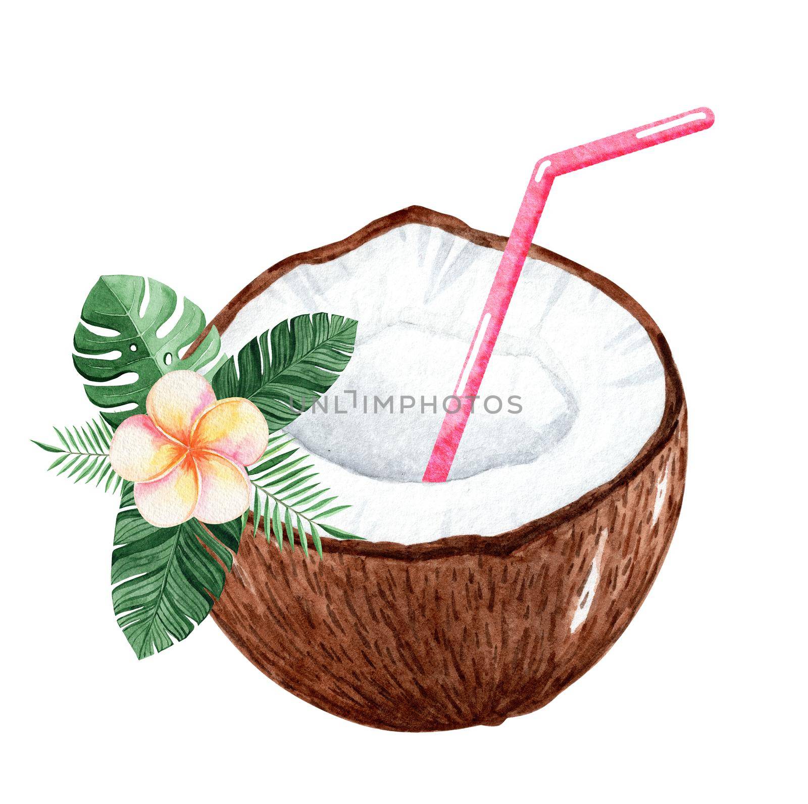 Watercolor coconut tropical cocktail isolated on white background. by dreamloud