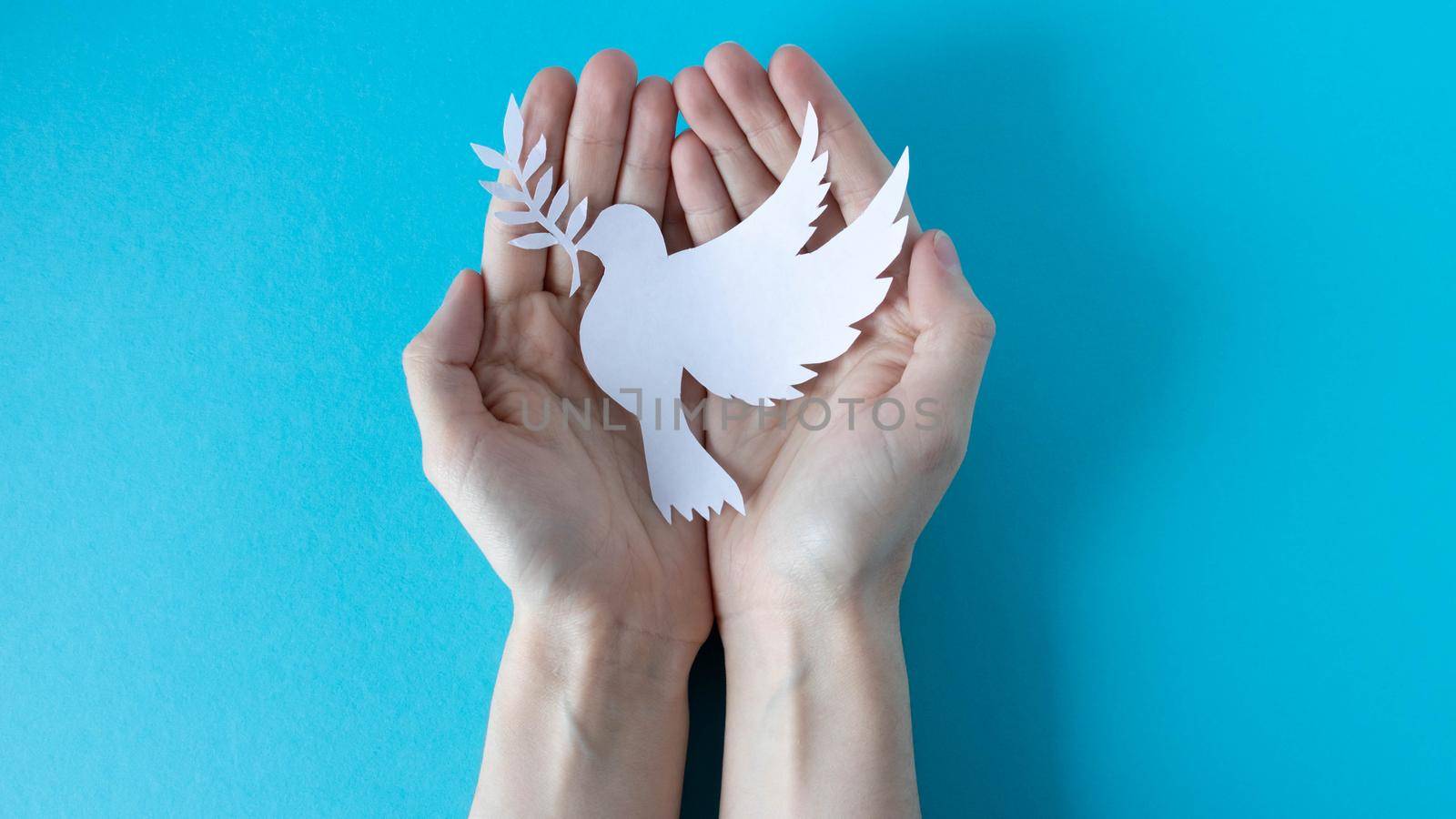 Hands holding a paper white pigeon on a blue background. World Peace Day. World Science Day for Peace and Development. by lapushka62