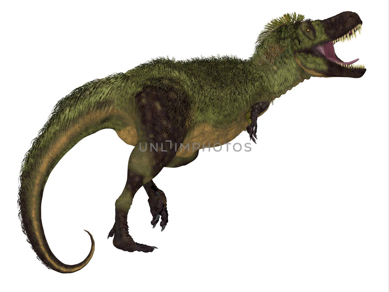 Tarbosaurus Feathered Tail by Catmando