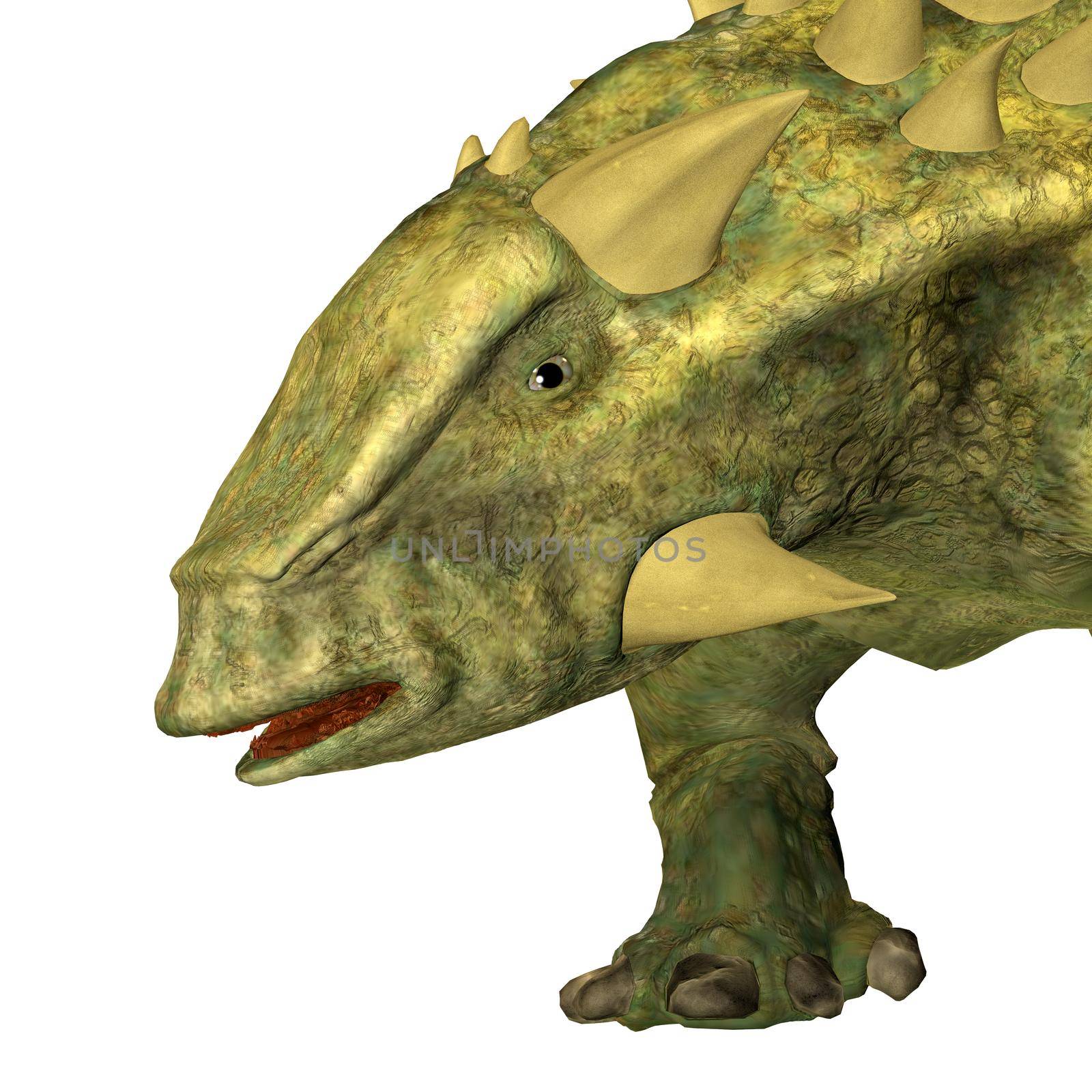 Talarurus Ankylosaur Head by Catmando