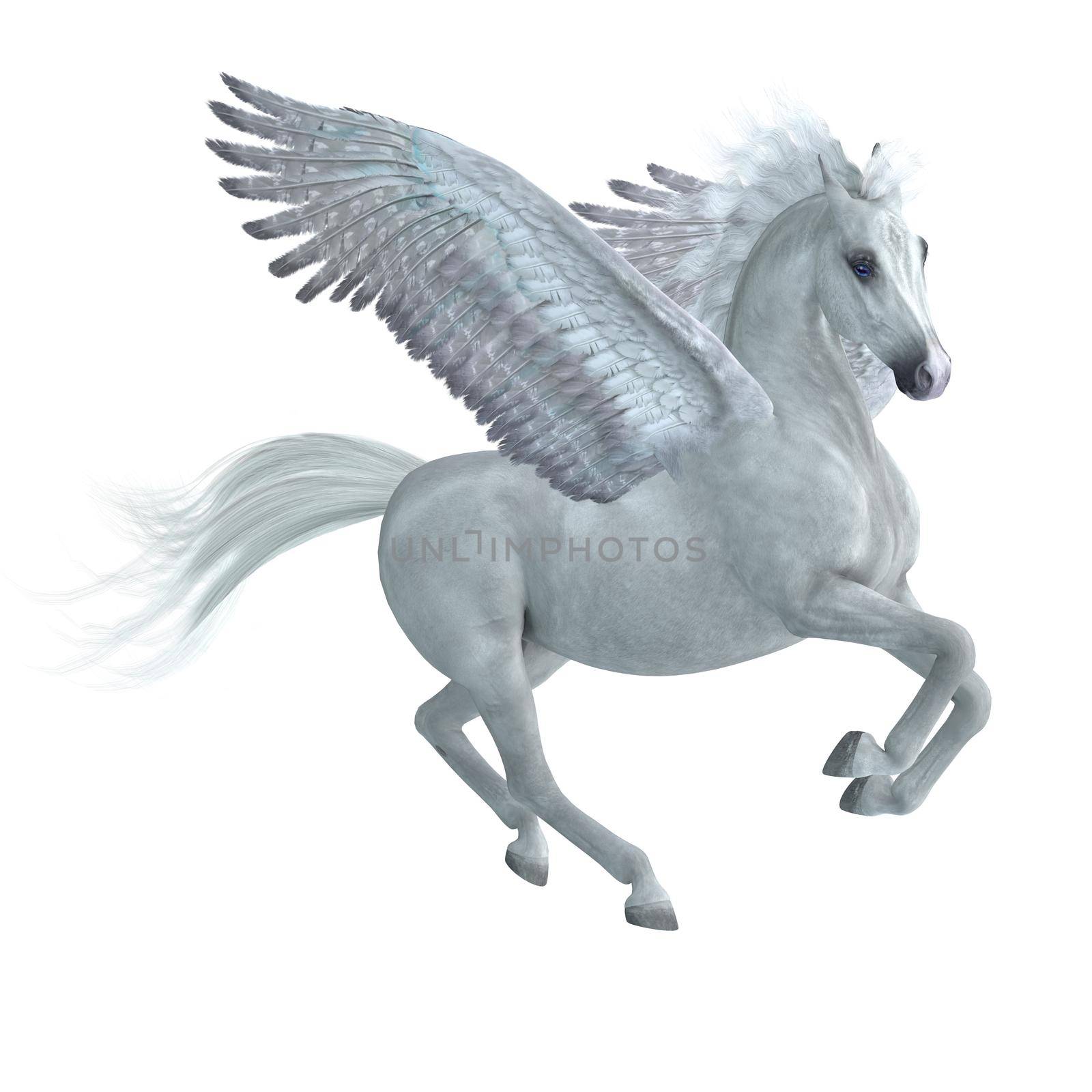 Pegasus Taking Off by Catmando