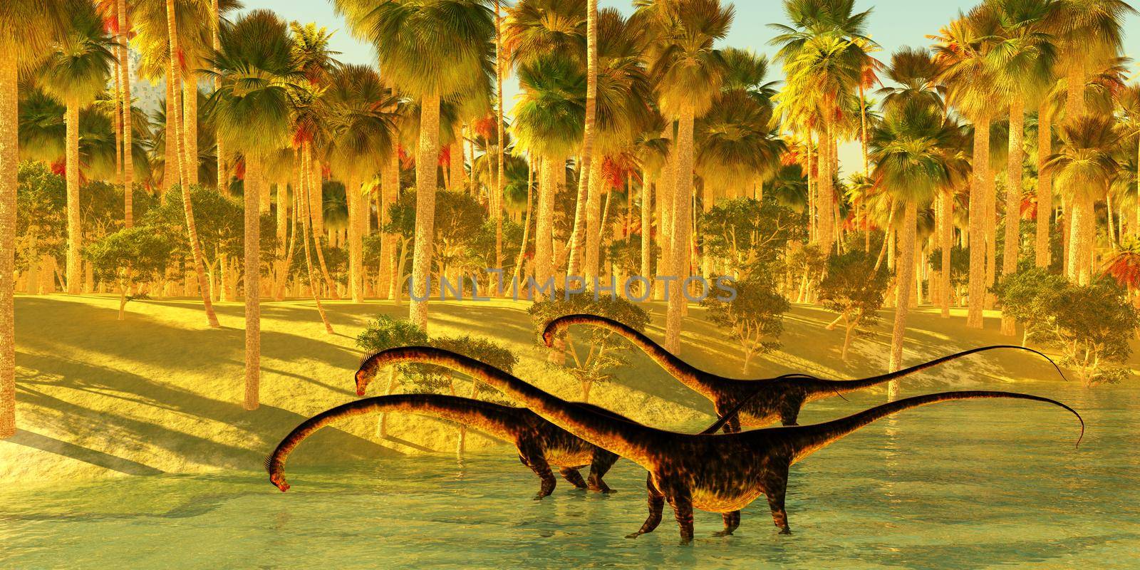 Barosaurus dinosaurs come down to a jungle river to wade and drink during the Jurassic Period of North America.