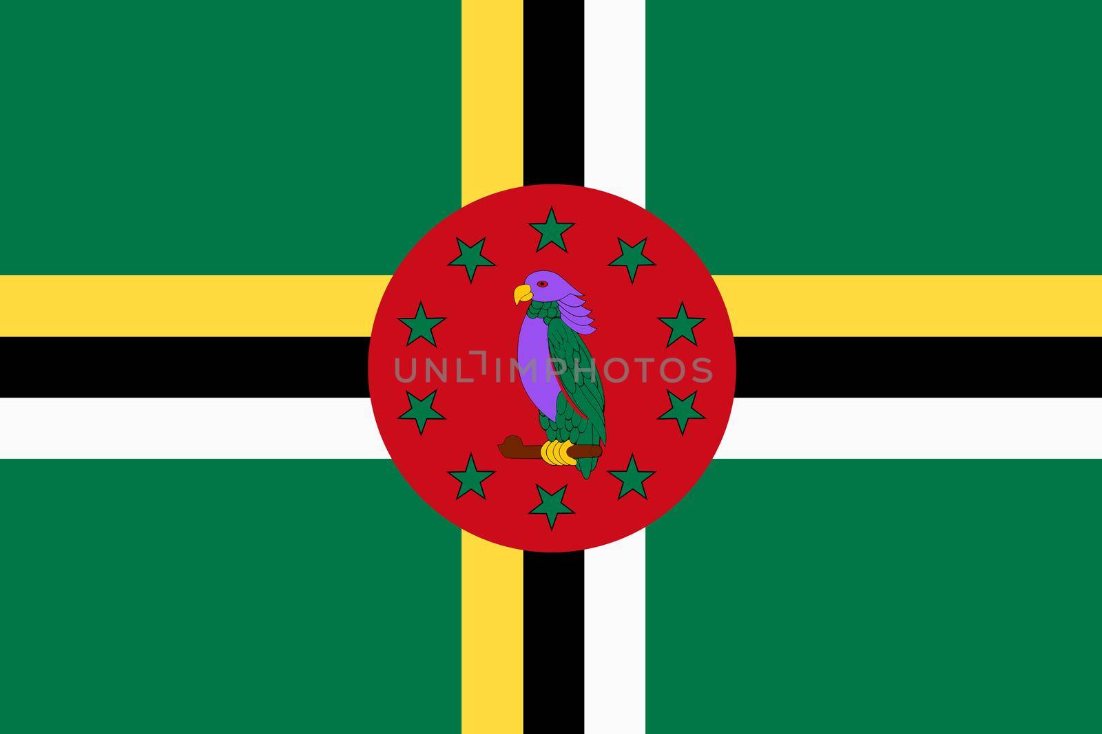 A Dominica flag background illustration green yellow black red sisserou parrot