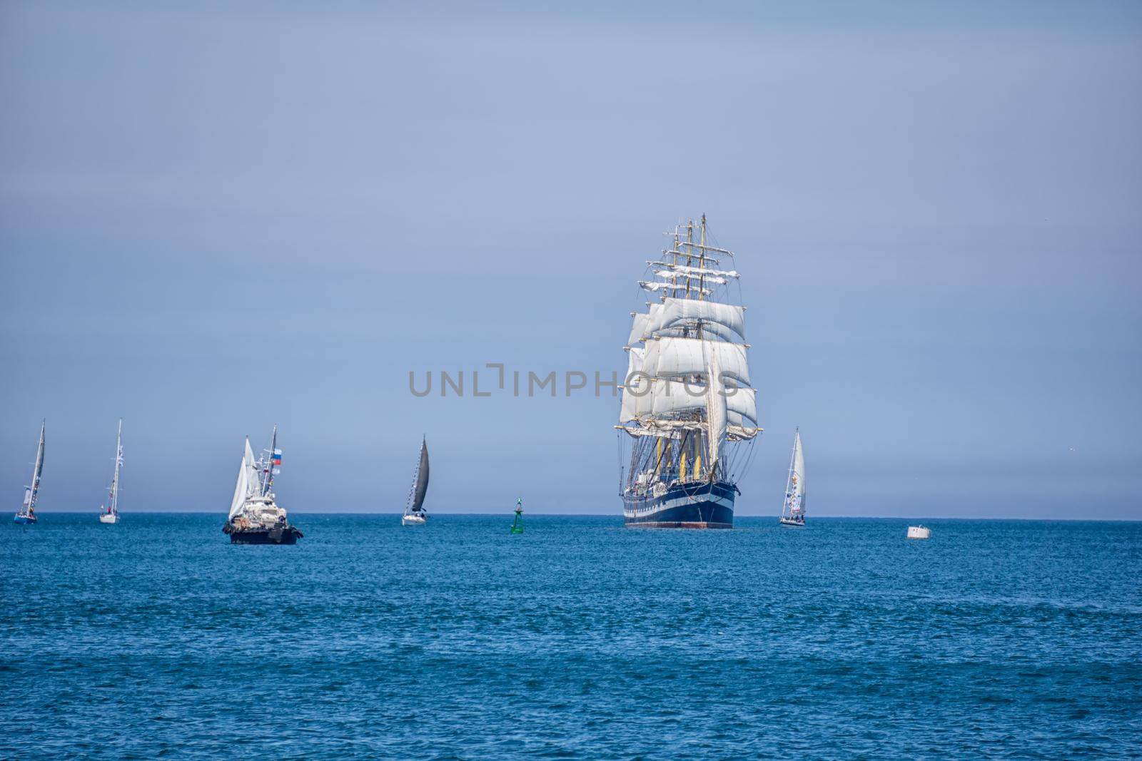 A large ship with white sails sailing on blue water. Nearby are several sailing boats with white sails. by Matiunina