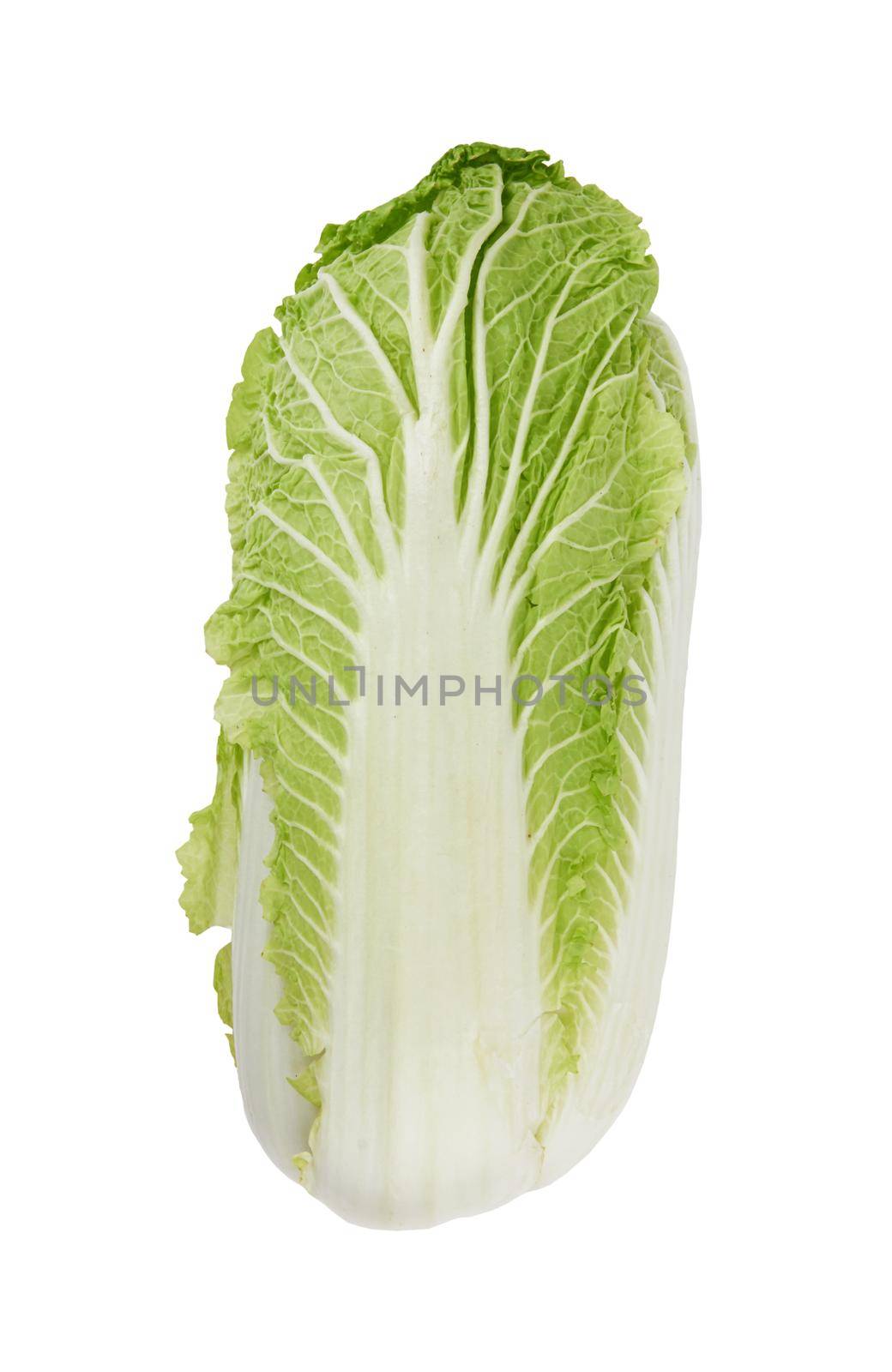 Chinese cabbage on white by pioneer111