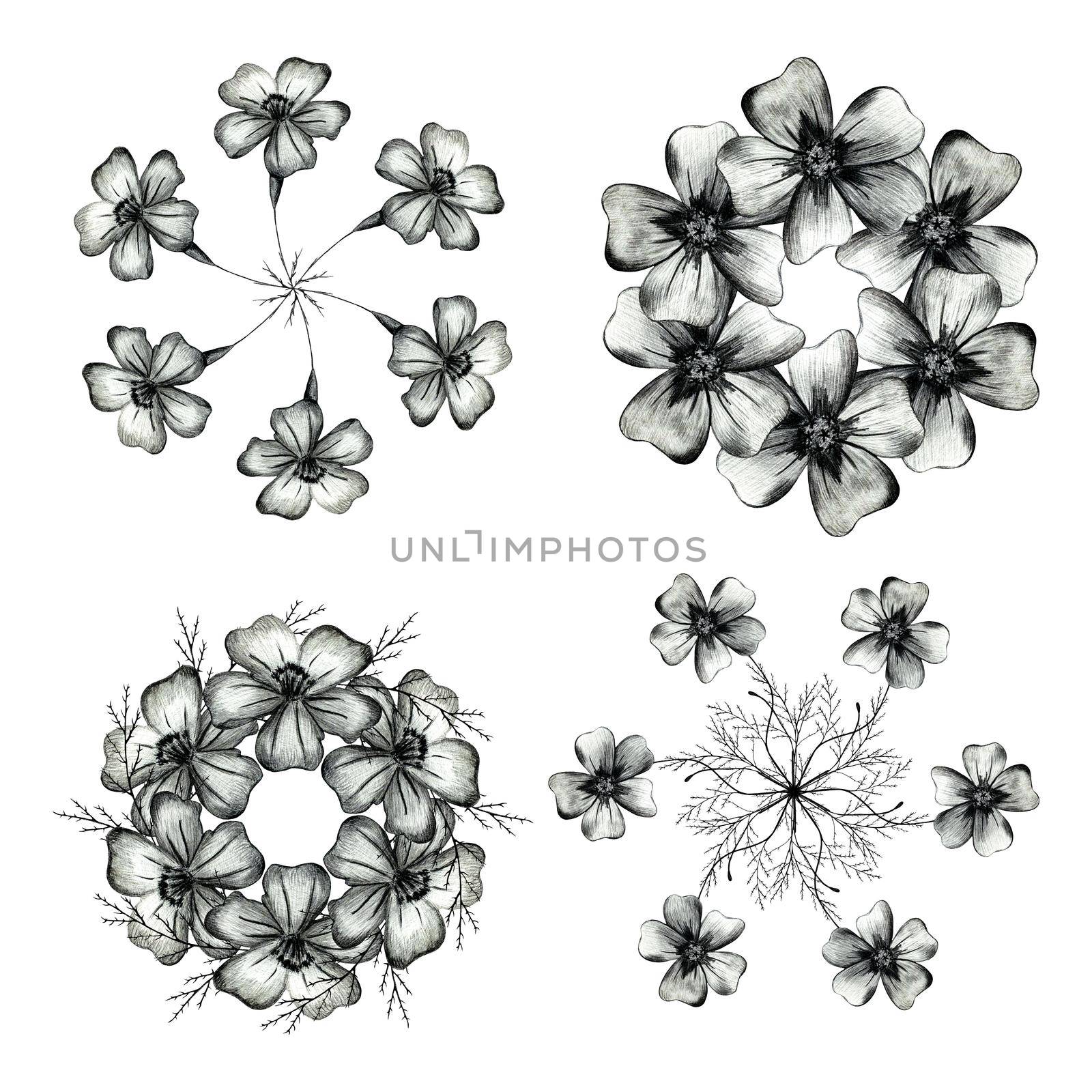 Set of Black and White Hand Drawn Marigold Flower Round Composition Isolated on White Background. Marigold Flower Composition Drawn by Black Pencil.