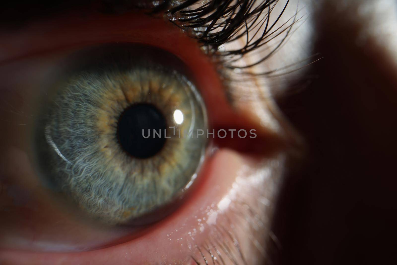 Close-up of persons eye, macro shot of female sight organ, beautiful green eye colour. Ophthalmology, checkup, medicine, vision, sight, diagnostic concept