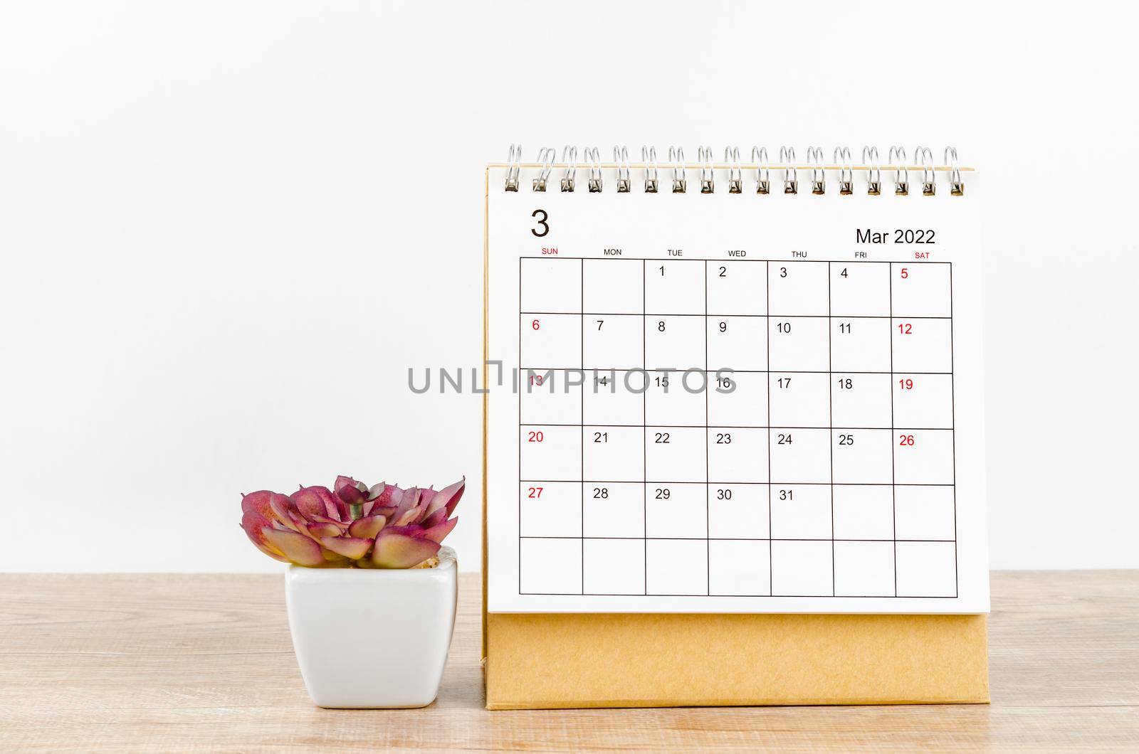 March 2022 desk calendar with plant pot on wooden table.
