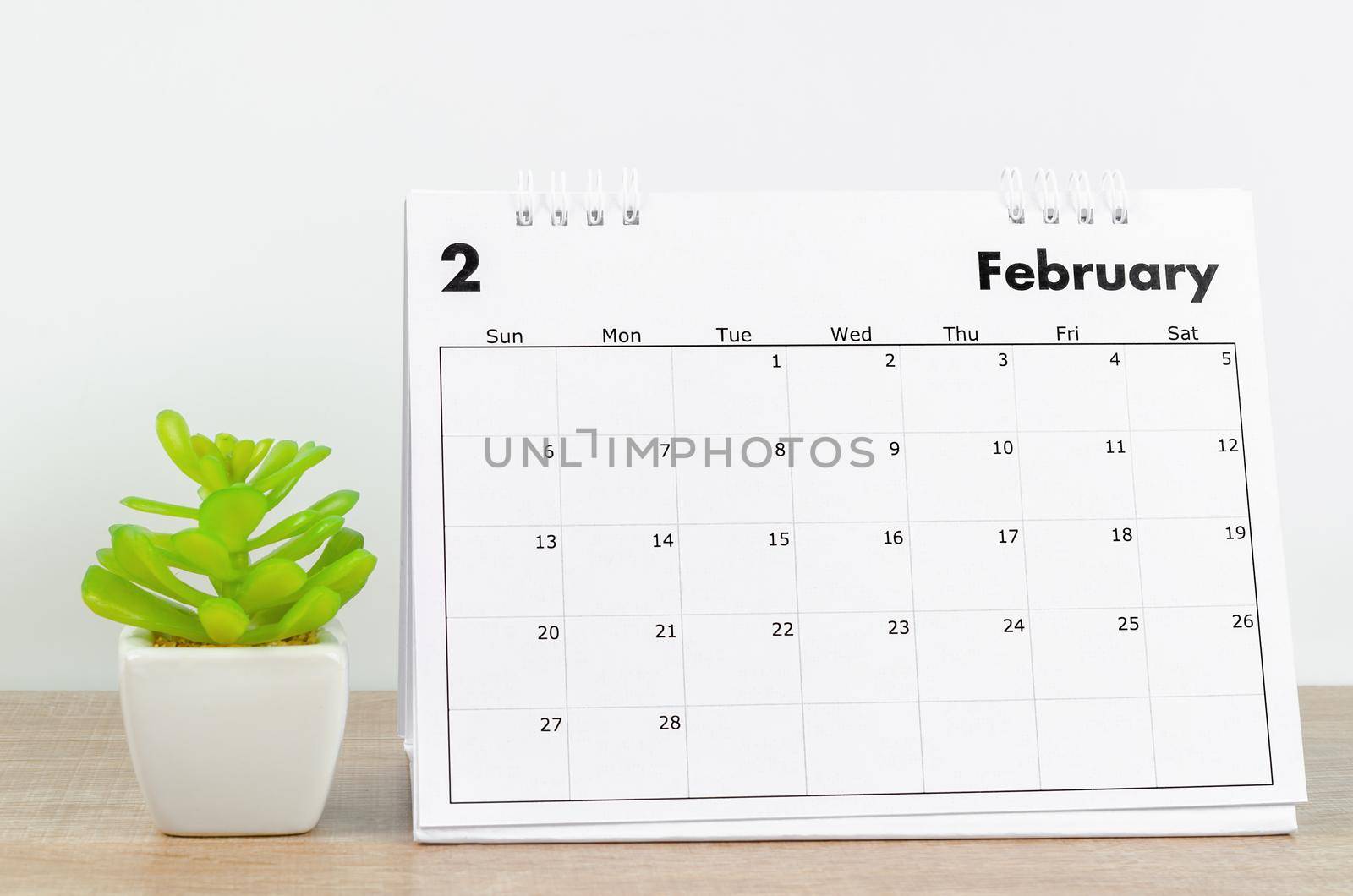 The February 2022 desk calendar with plant pot on wooden table.