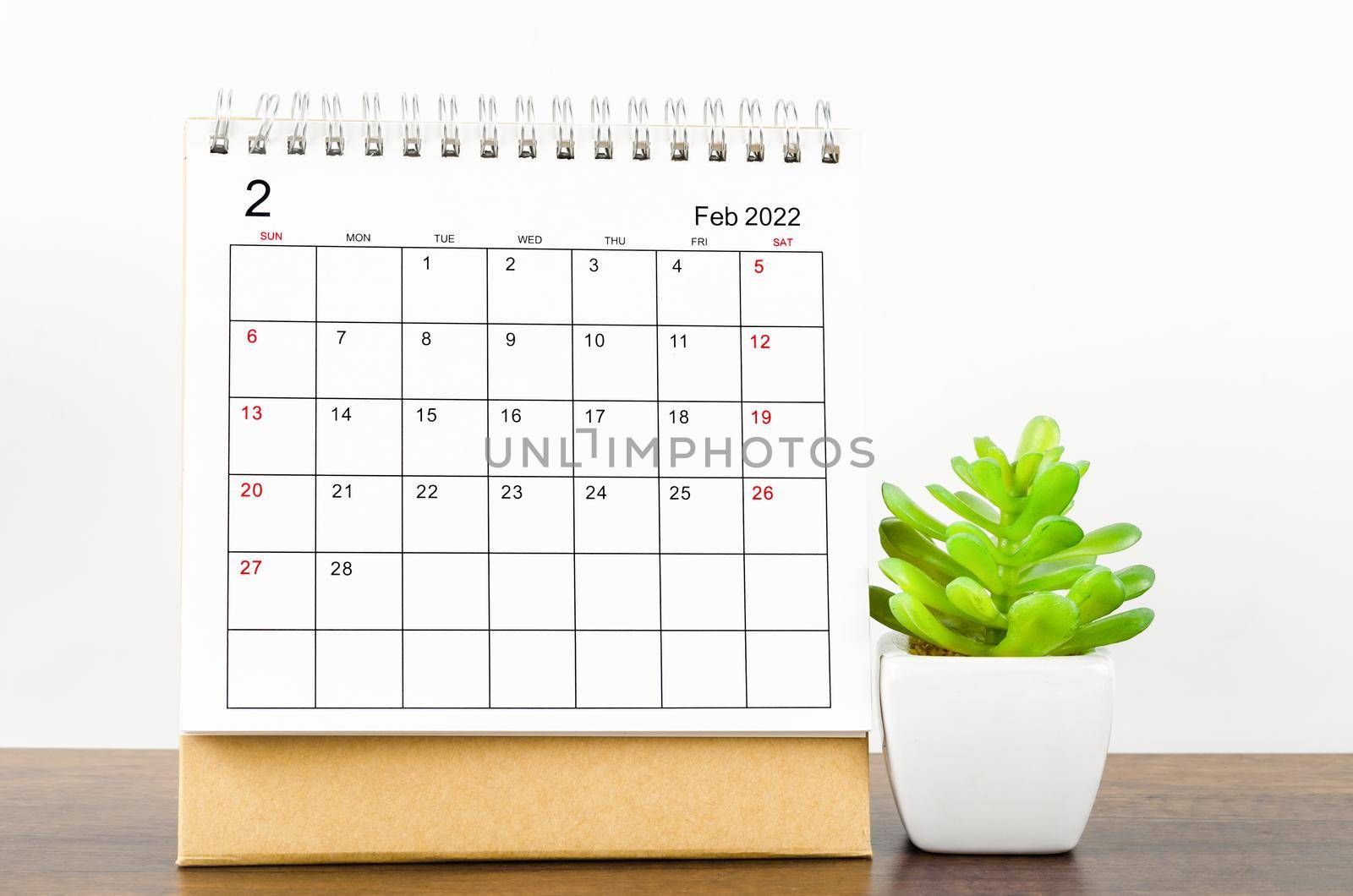 February 2022 desk calendar with plant pot on wooden table.