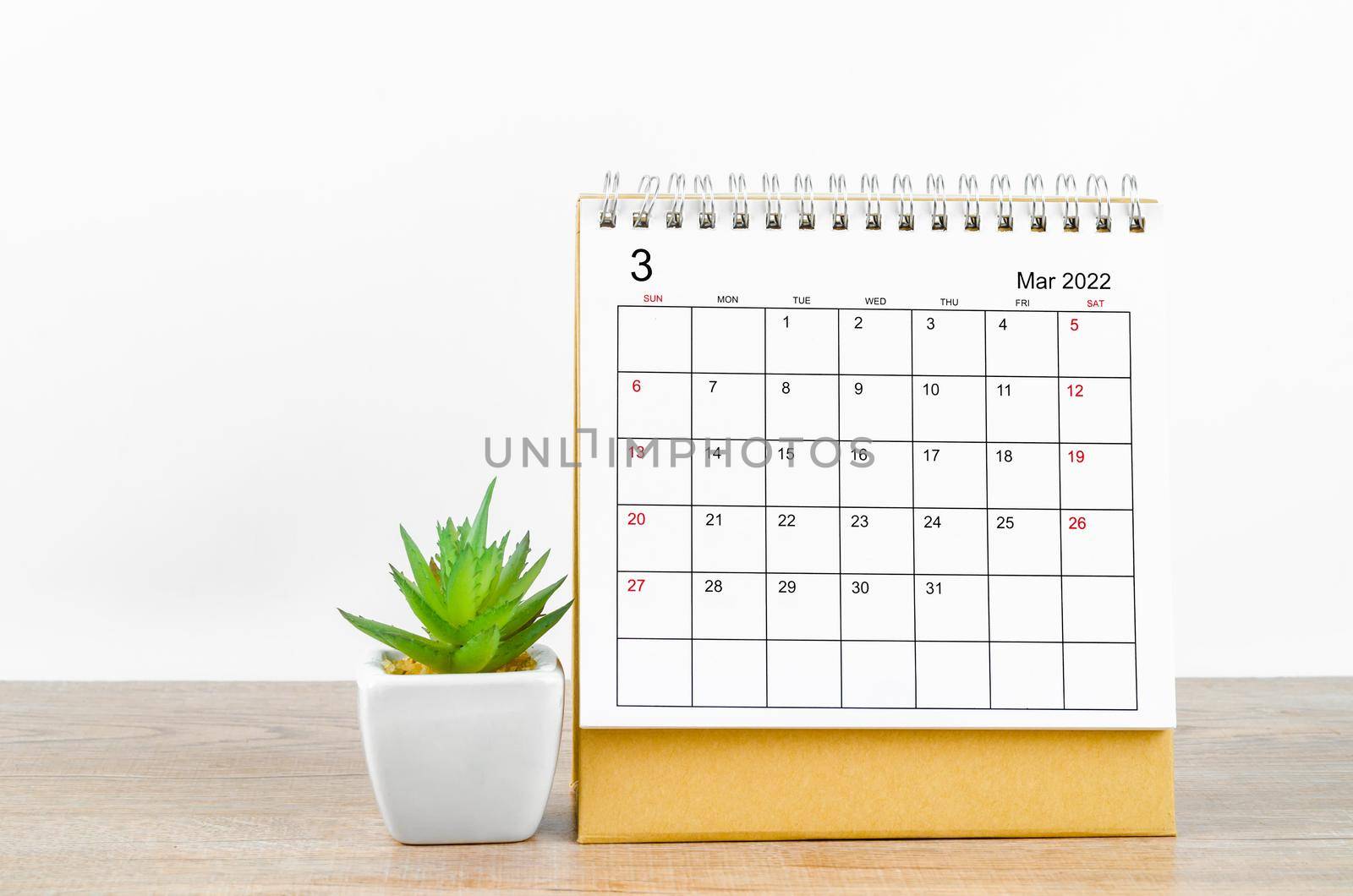 March 2022 desk calendar with plant pot on wooden table.