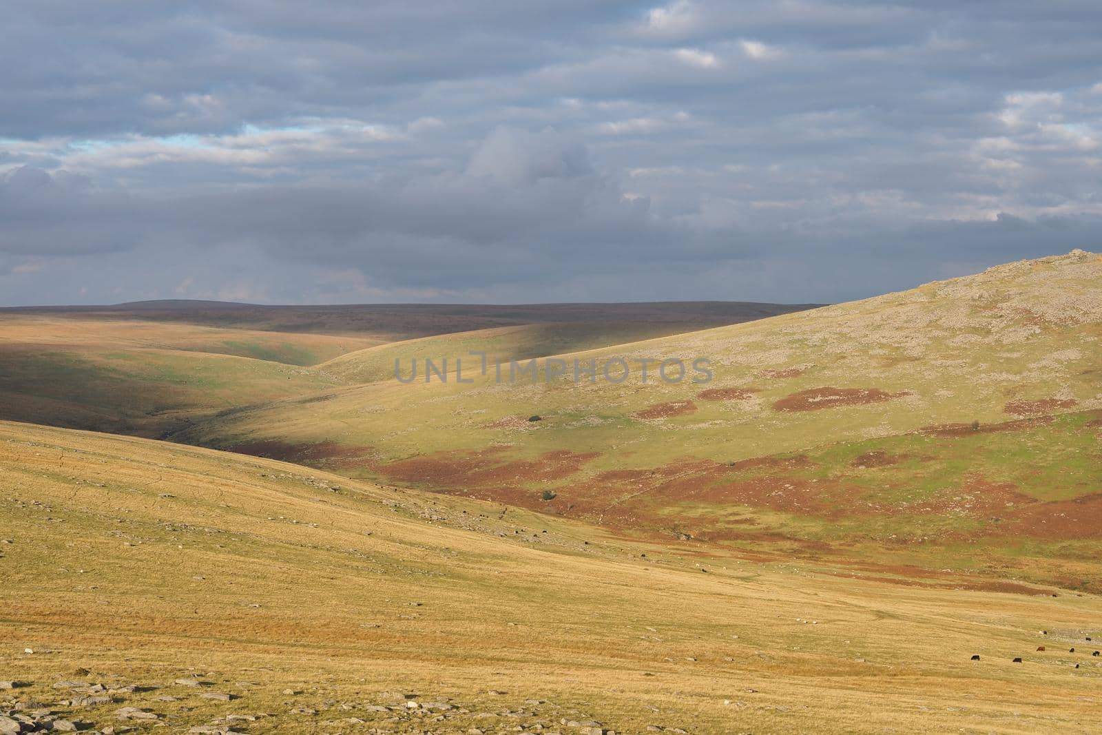 River Walkham valley from Great Staple Tor, Dartmoor National Park, Devon by PhilHarland