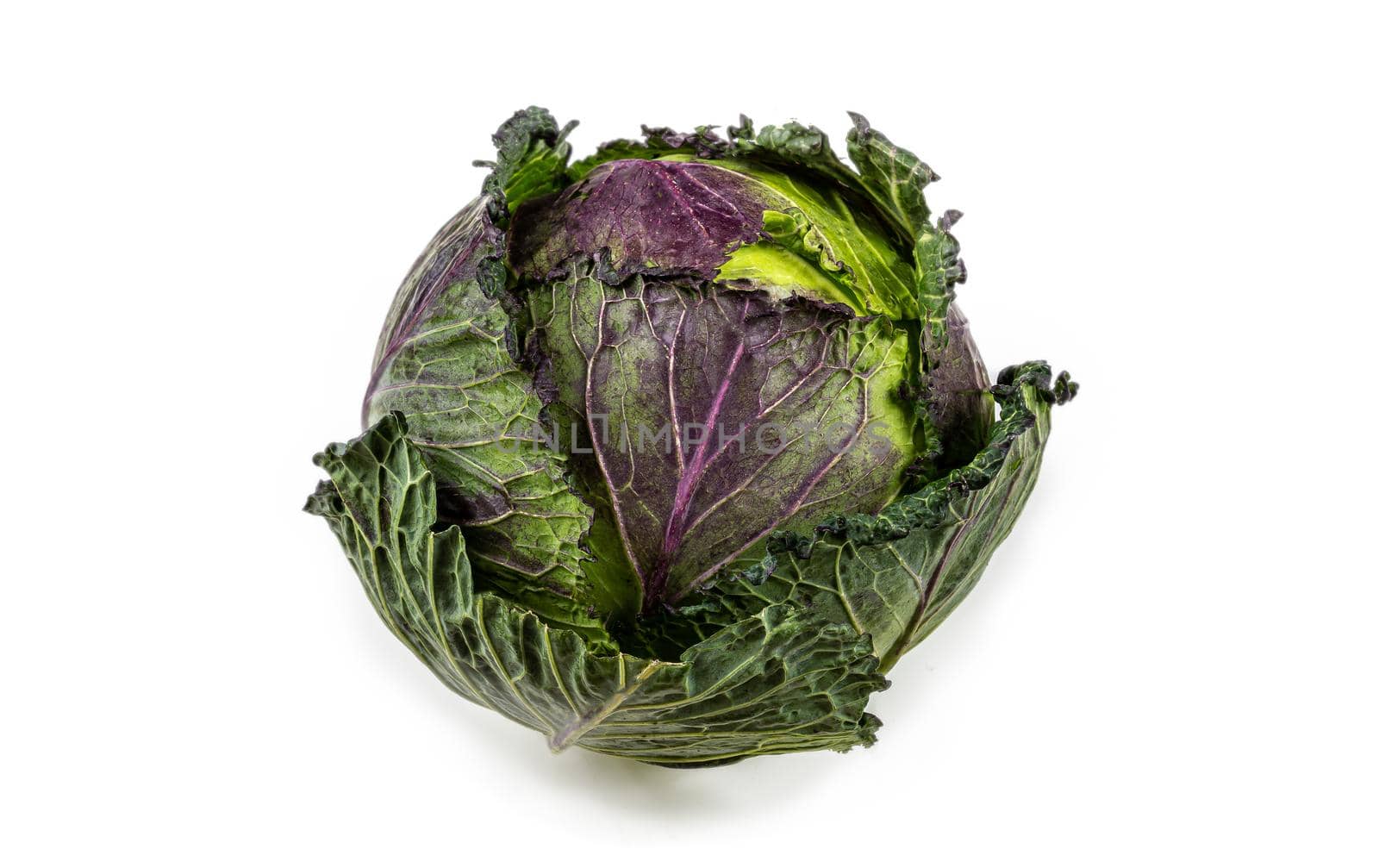 Green cabbage and Red close-up on a white background