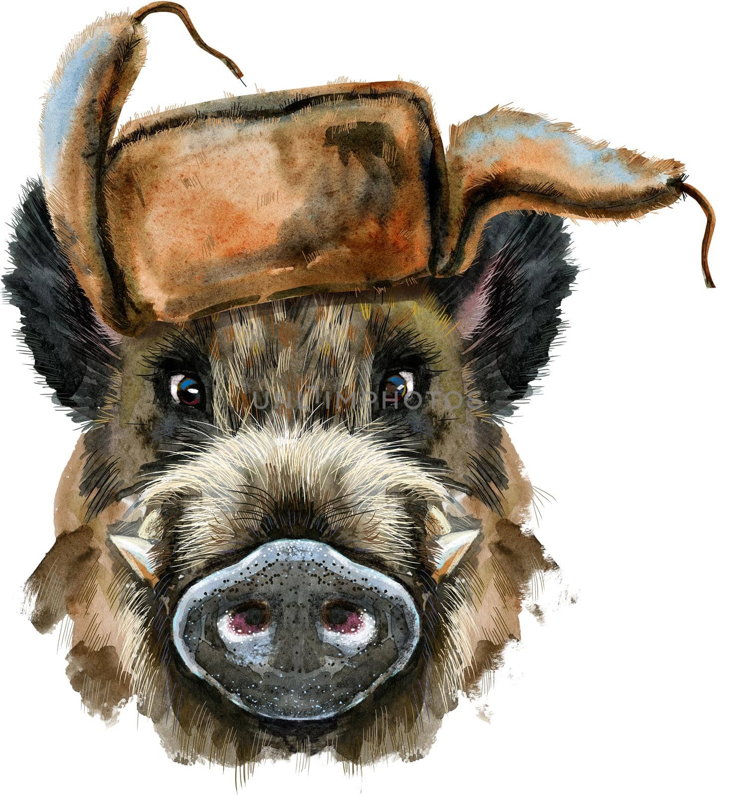 Cute piggy. Wild boar in hat with ear flaps for T-shirt graphics. Watercolor brown boar illustration