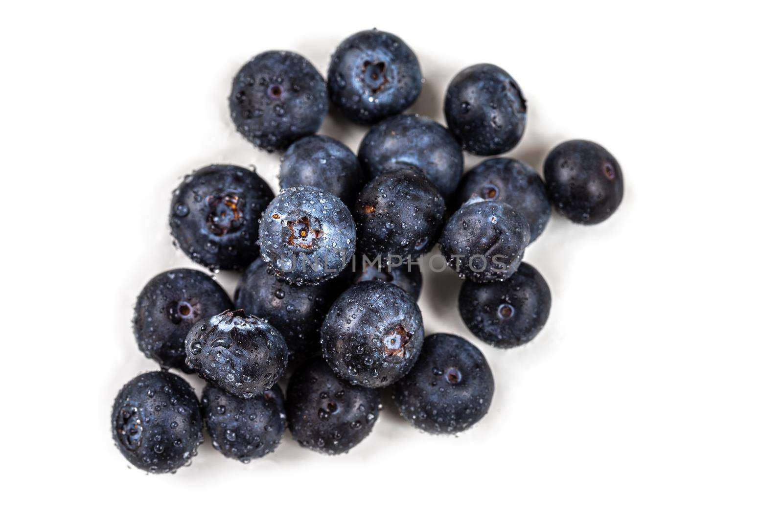 Blueberry berries in macro on a white background