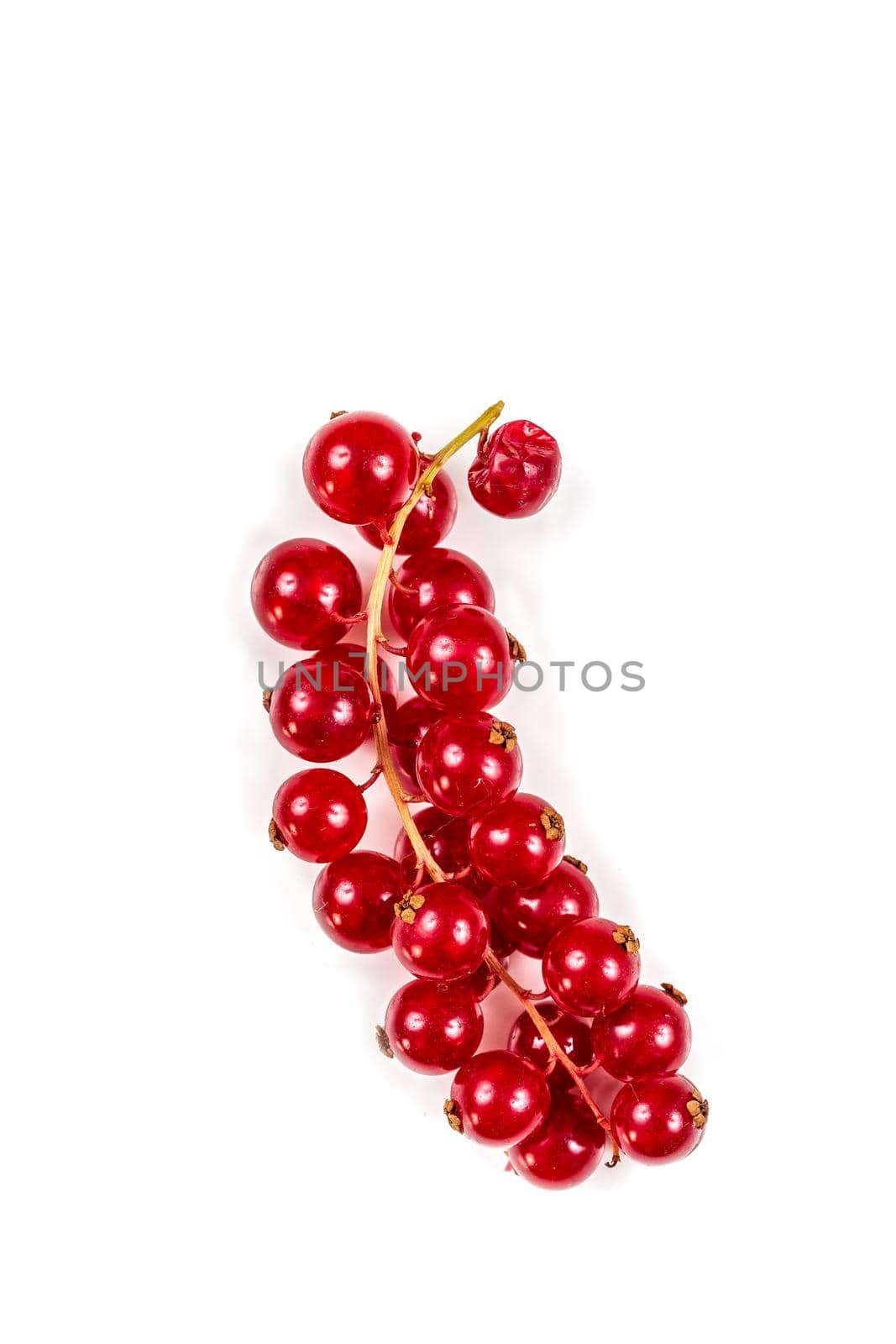 Gooseberry cluster on a cropped white background