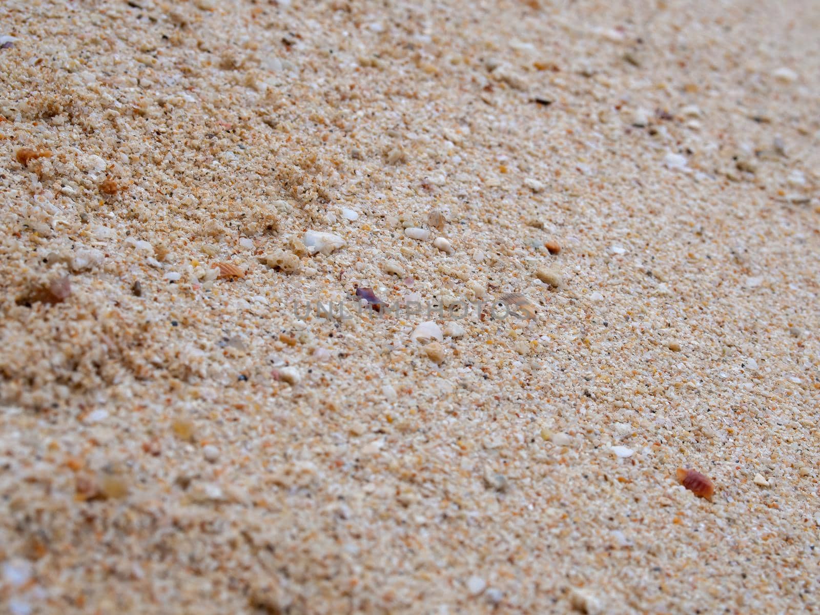 Sand background texture. Close-up of coarse sand grains