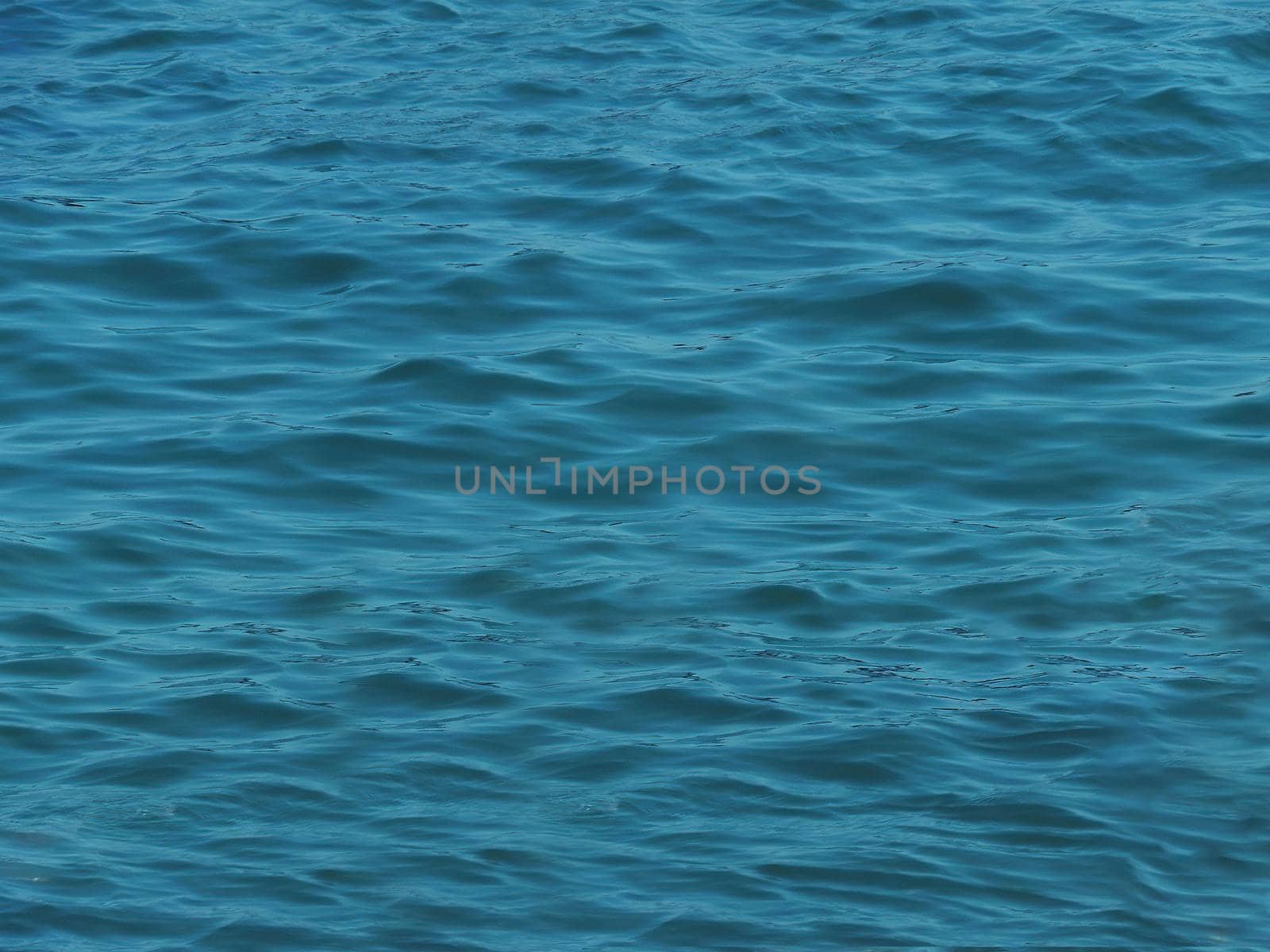 woman in vietnamese hat swims in the sea