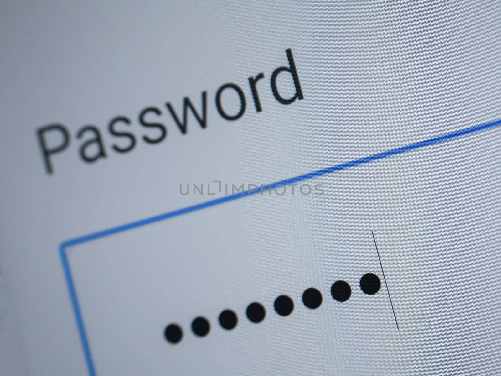 Password blank form and arrow cursor at login screen on the web site.