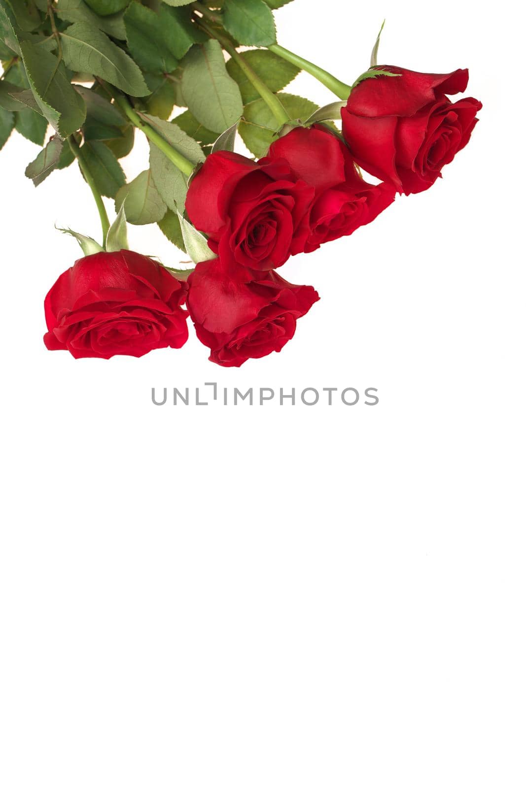 High Angle View of Red Rose Bouquet Isolated on a White Background. Copy space bottom. High quality studio photo
