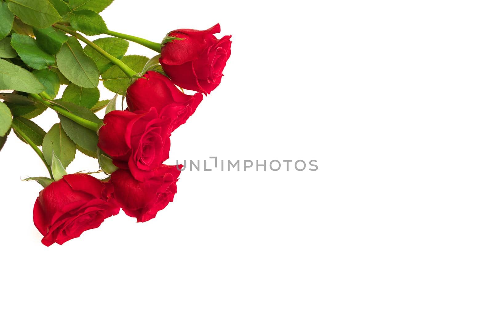 Directly Above Overhead View of Red Rose Bouquet Isolated on a White Studio Background. Copy space right. High quality studio photo