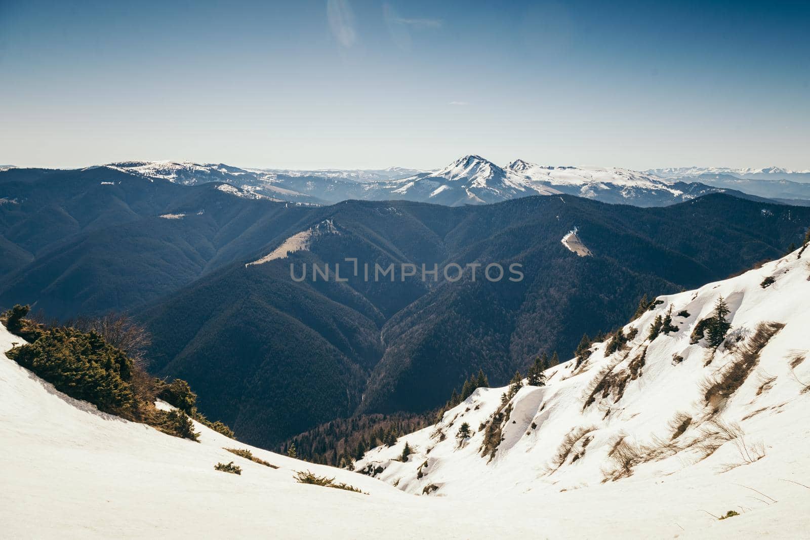 Mountains, coniferous forest in the snow, spring, winter. High quality photo