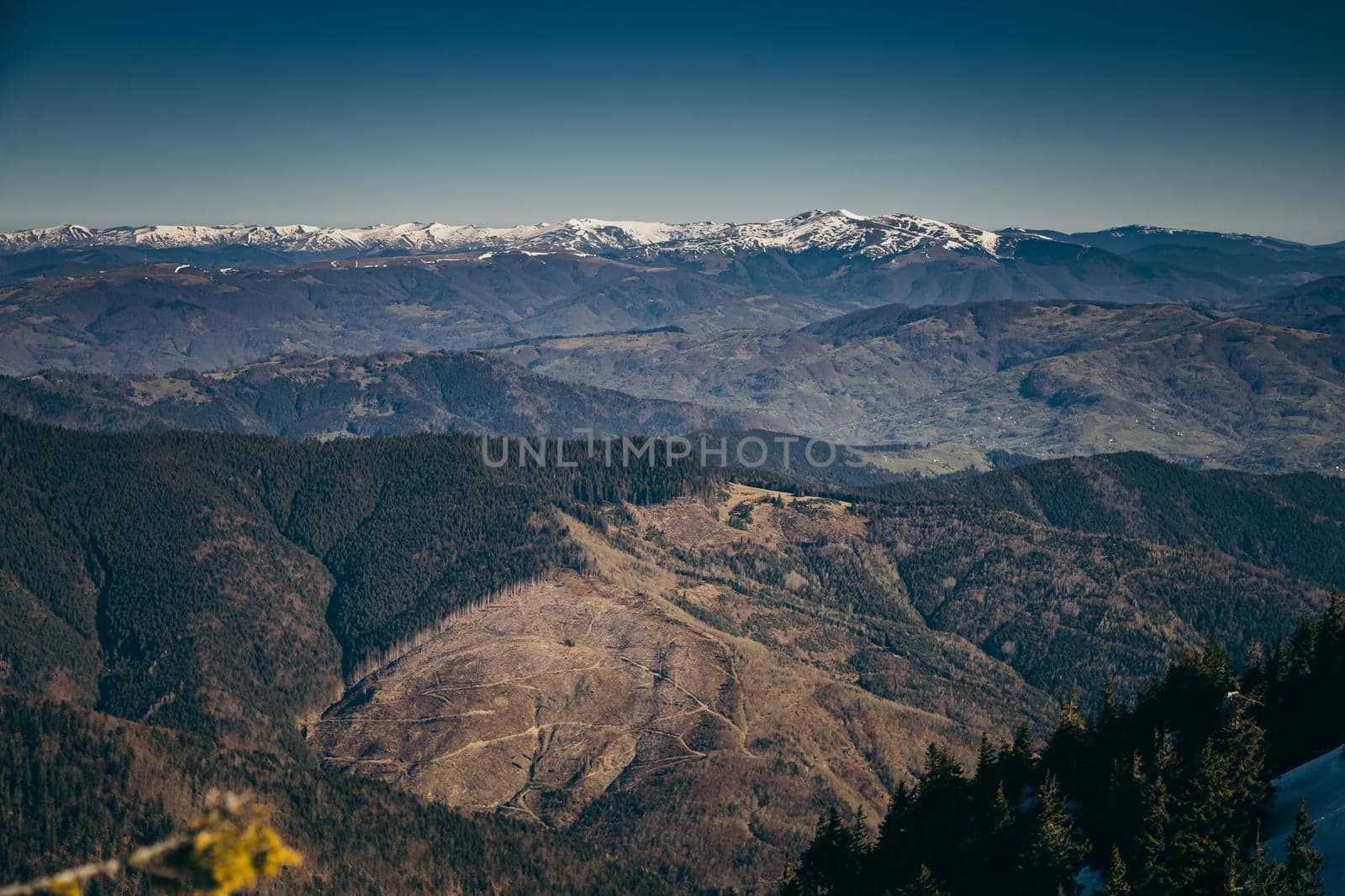 Winter mountains remnants of snow, spring, coniferous forest. High quality photo
