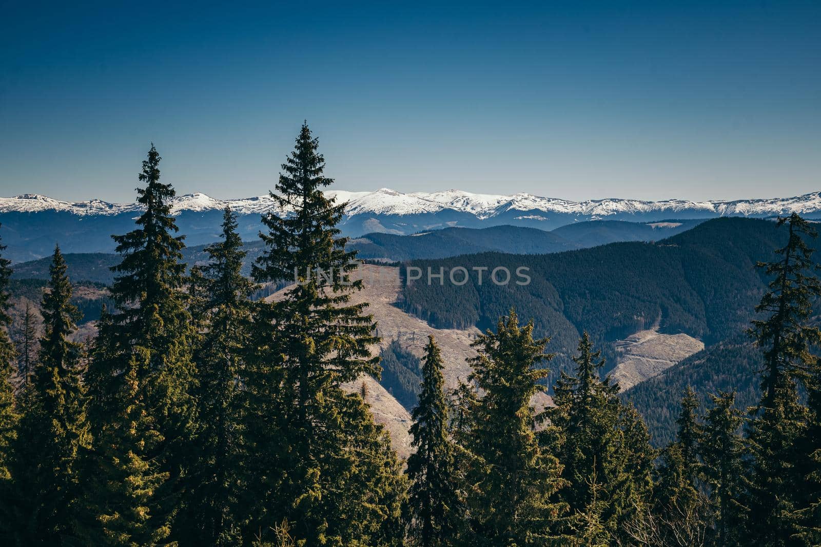 Snowy mountains, coniferous deforestation, a spring, a winter. High quality photo