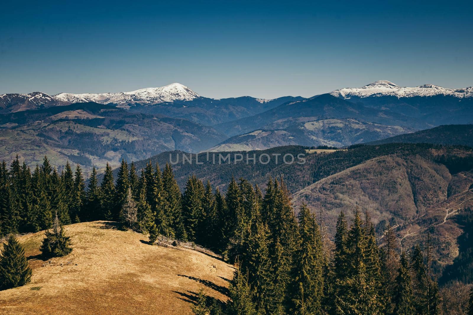 Snow-capped mountains, deforestation and coniferous forest, spring, winter. High quality photo